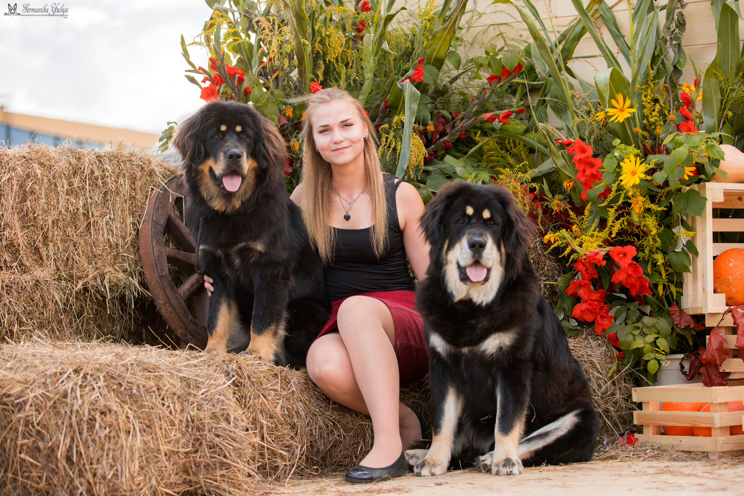 Питер 2-3.09.2023. Фотограф-анималист Юлия Германика