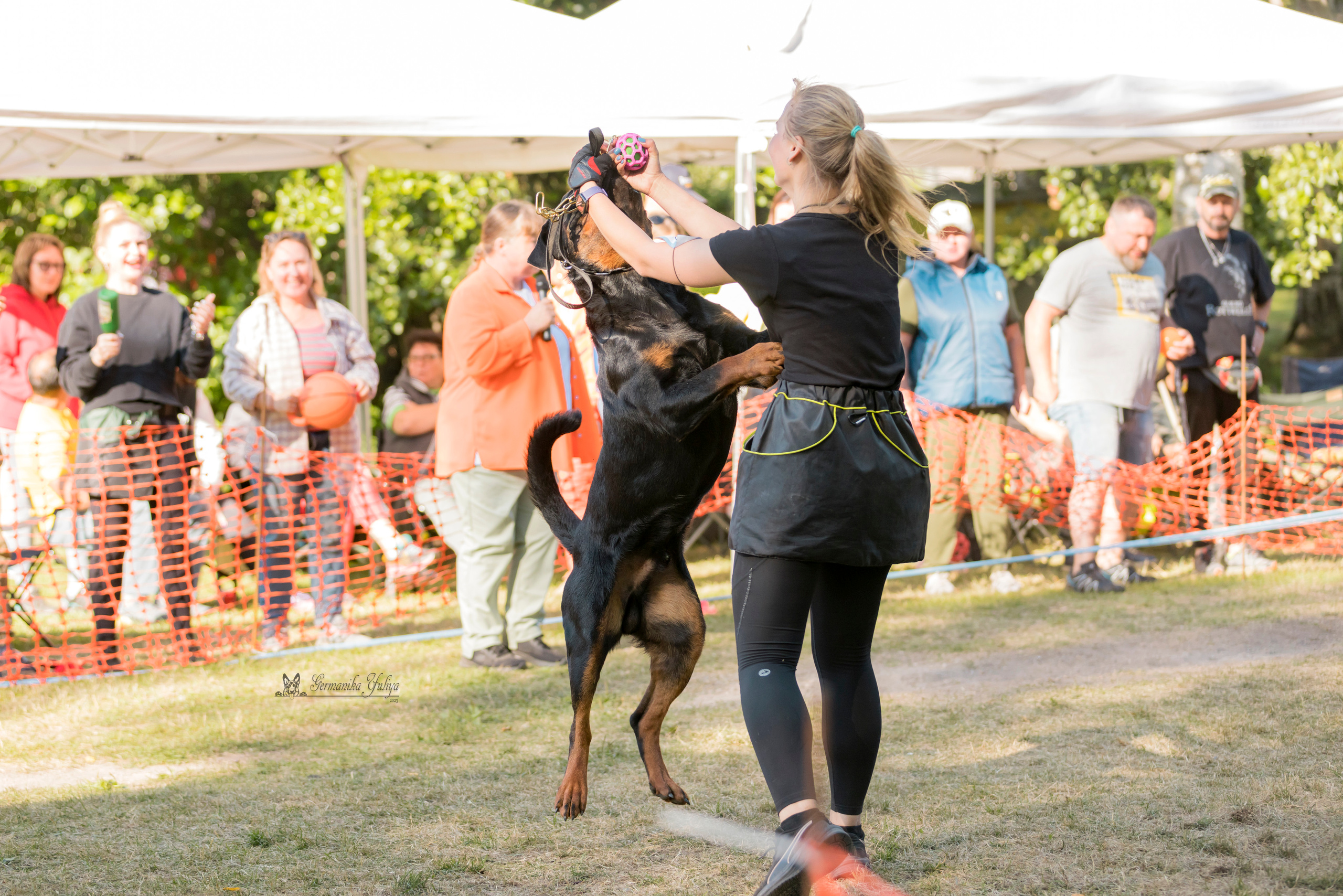 ПК и КЧК ротвейлеров Питер 22-23.07.2023. Фотограф-анималист Юлия Германика