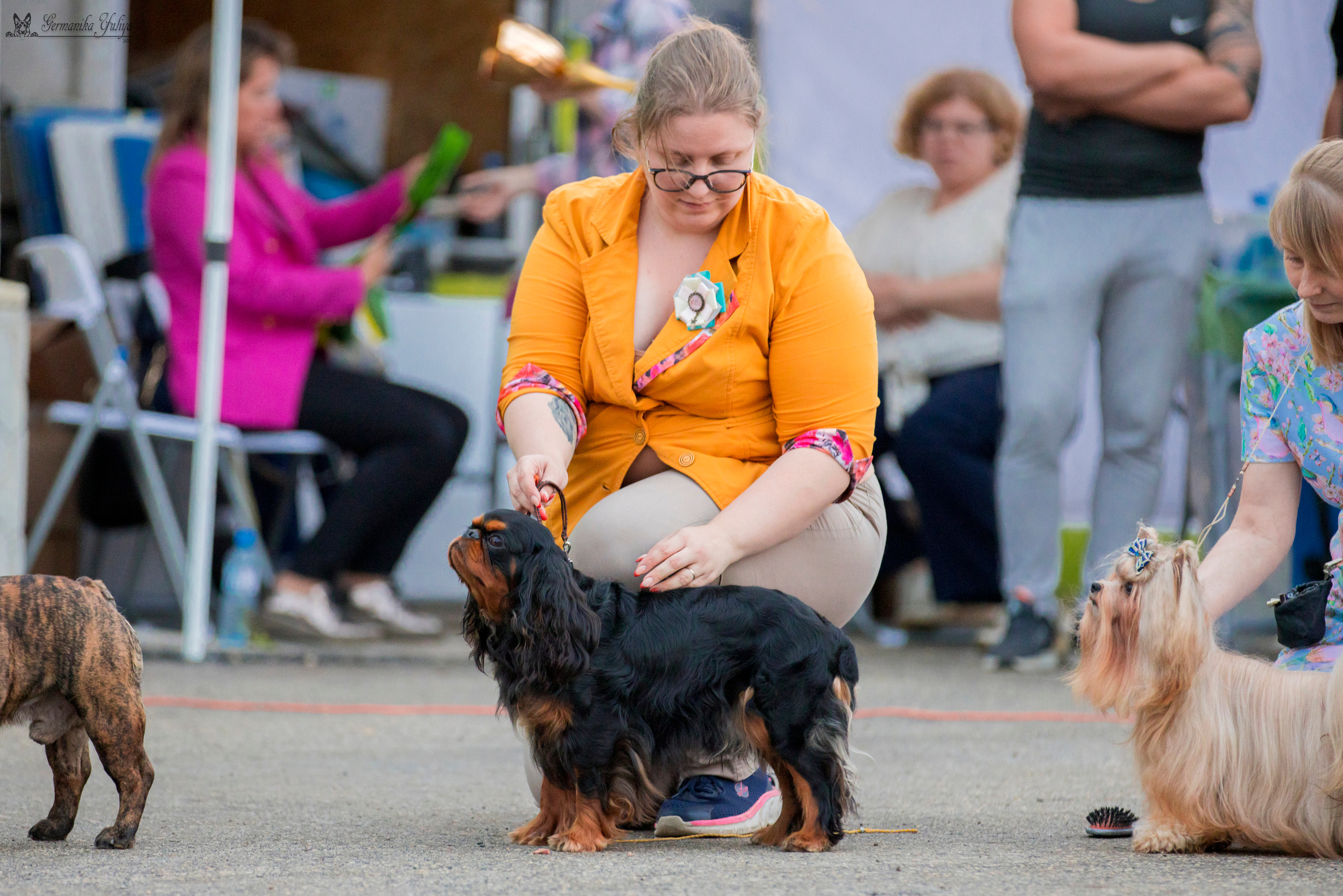 Рязань 12.08.и Пушкино 19.08.2023. Фотограф-анималист Юлия Германика