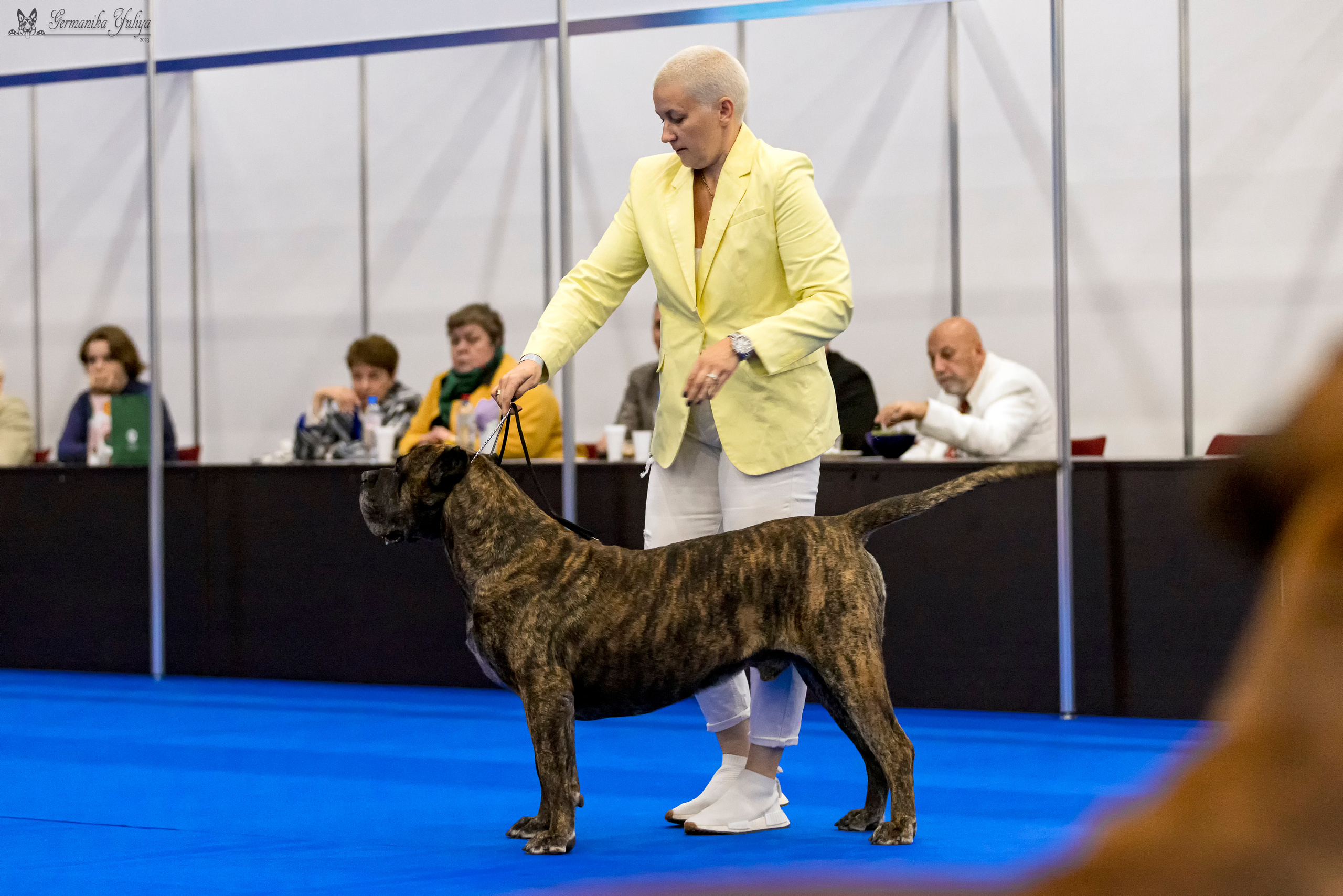 Питер 2-3.09.2023. Фотограф-анималист Юлия Германика