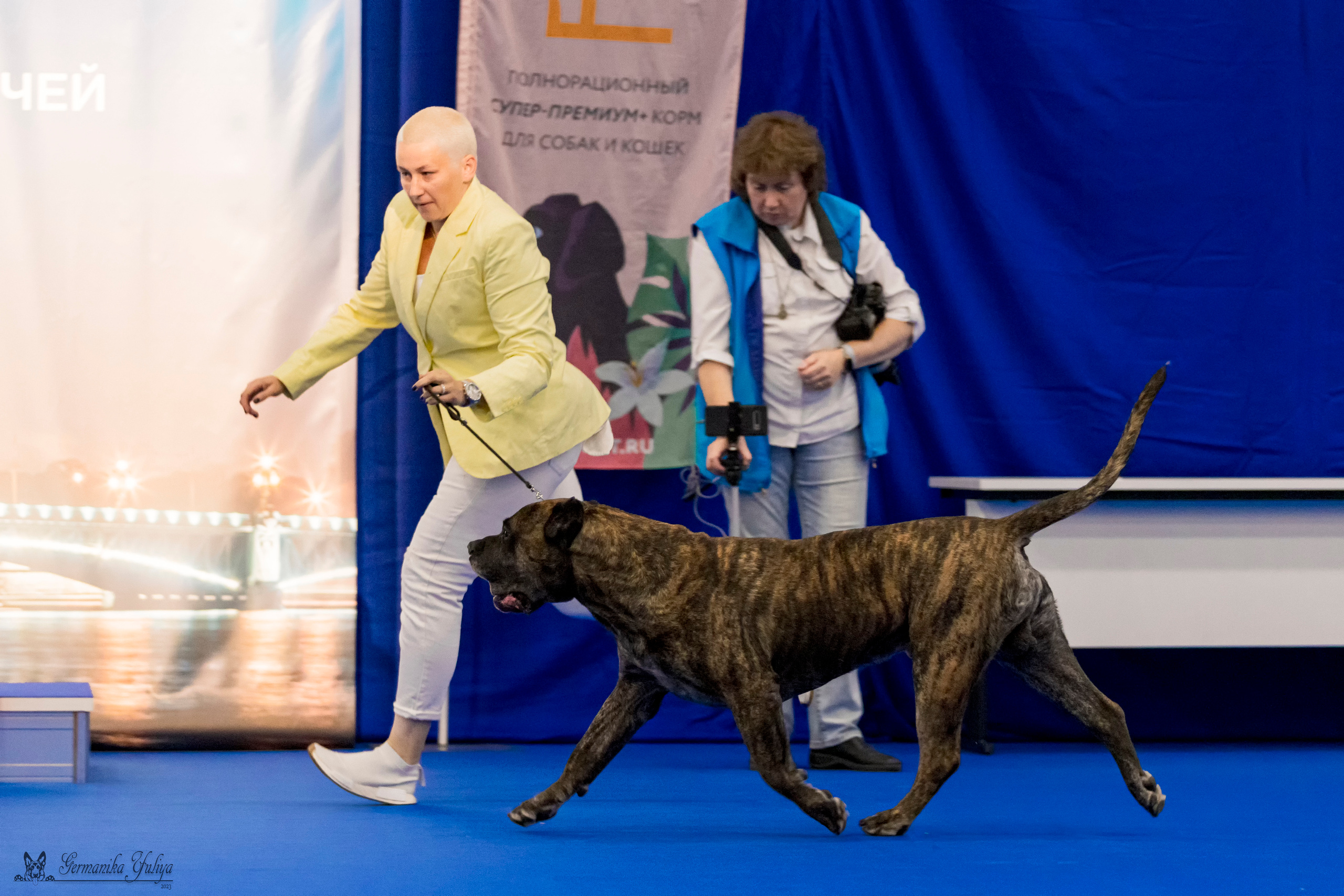 Питер 2-3.09.2023. Фотограф-анималист Юлия Германика