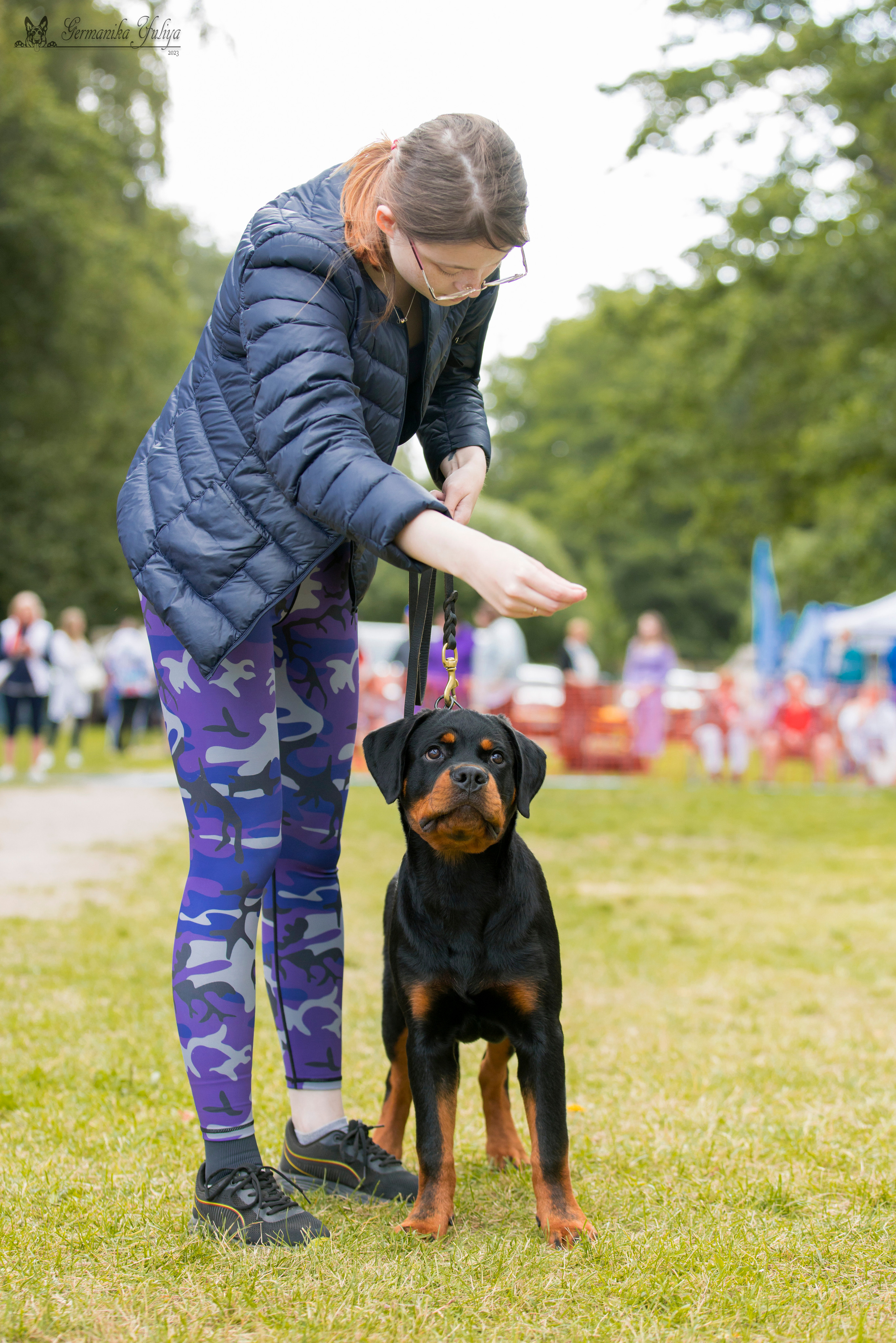 ПК и КЧК ротвейлеров Питер 22-23.07.2023. Фотограф-анималист Юлия Германика