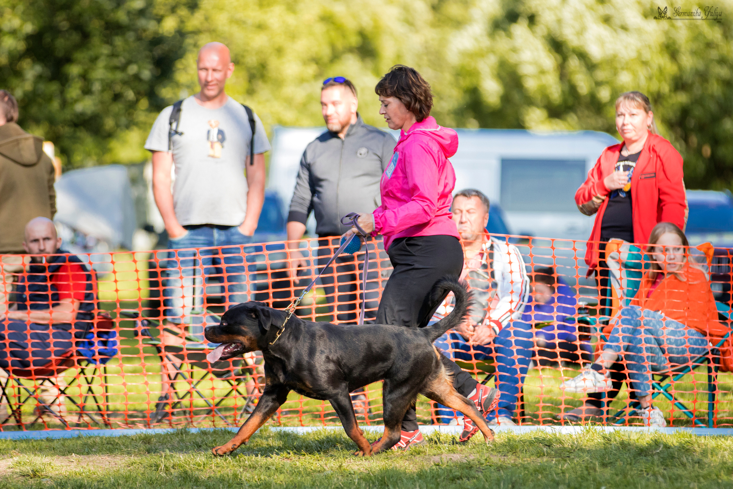 ПК и КЧК ротвейлеров Питер 22-23.07.2023. Фотограф-анималист Юлия Германика