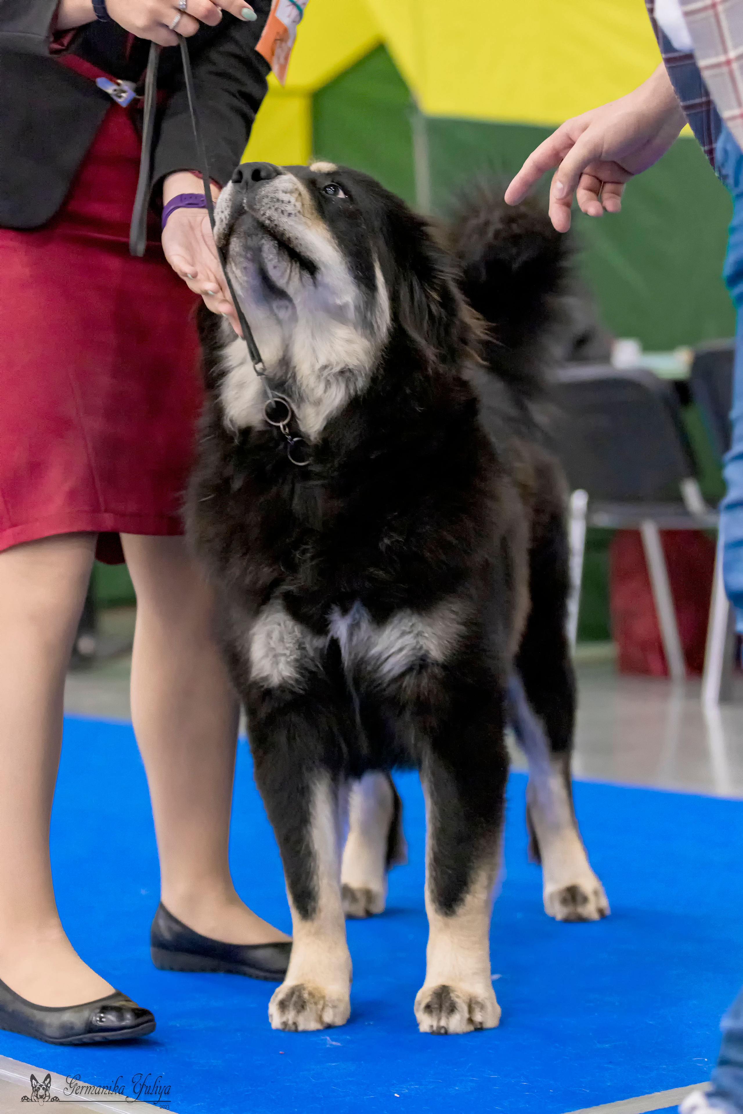 Питер 2-3.09.2023. Фотограф-анималист Юлия Германика