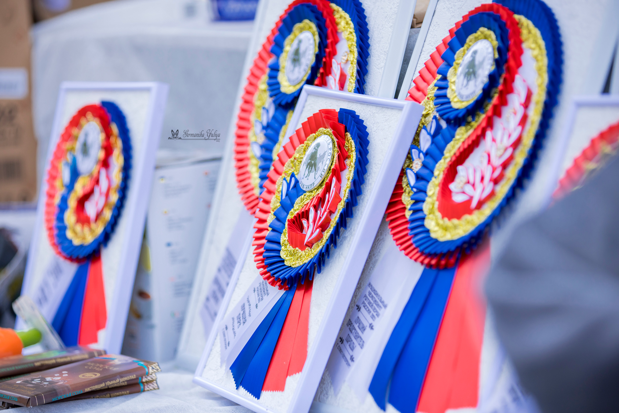 ПК и КЧК ротвейлеров Питер 22-23.07.2023. Фотограф-анималист Юлия Германика