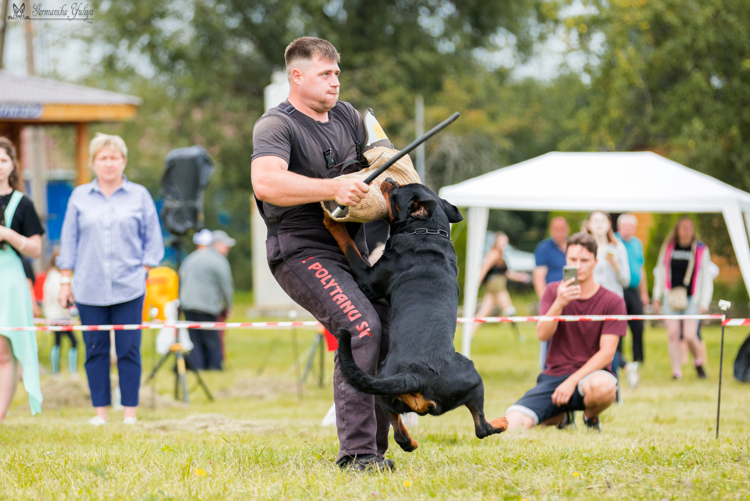 Рязань моно ротвейлеров 12.08.2023. Фотограф-анималист Юлия Германика