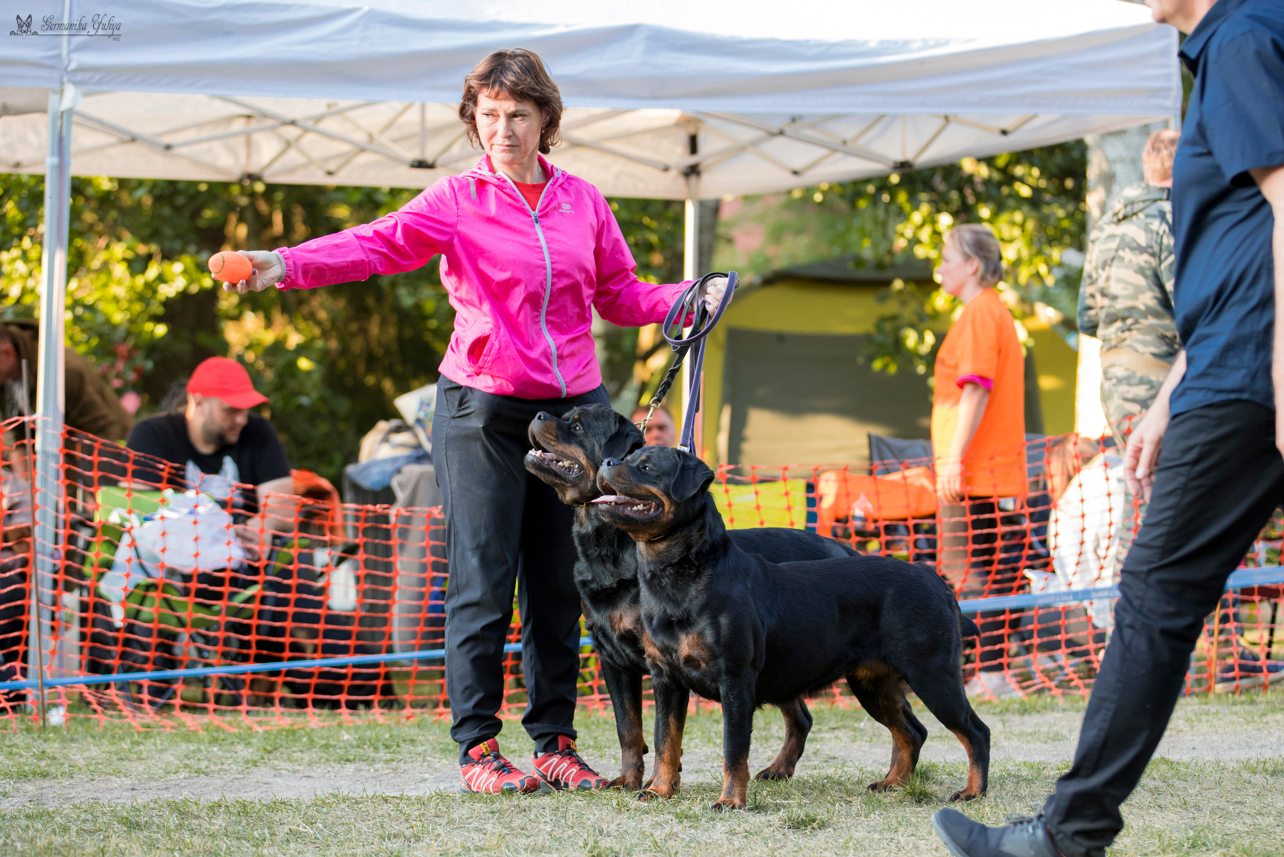 ПК и КЧК ротвейлеров Питер 22-23.07.2023. Фотограф-анималист Юлия Германика
