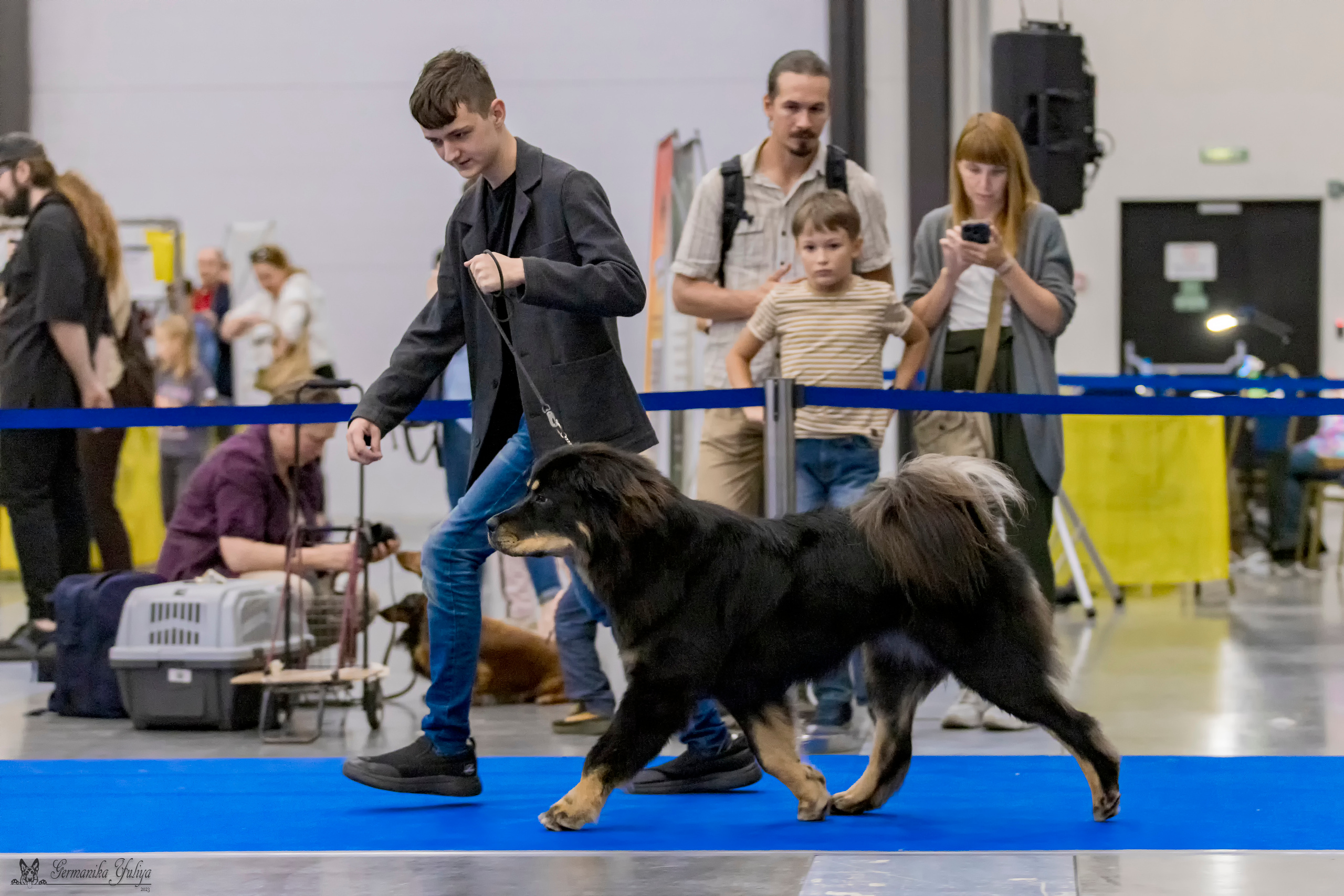 Питер 2-3.09.2023. Фотограф-анималист Юлия Германика