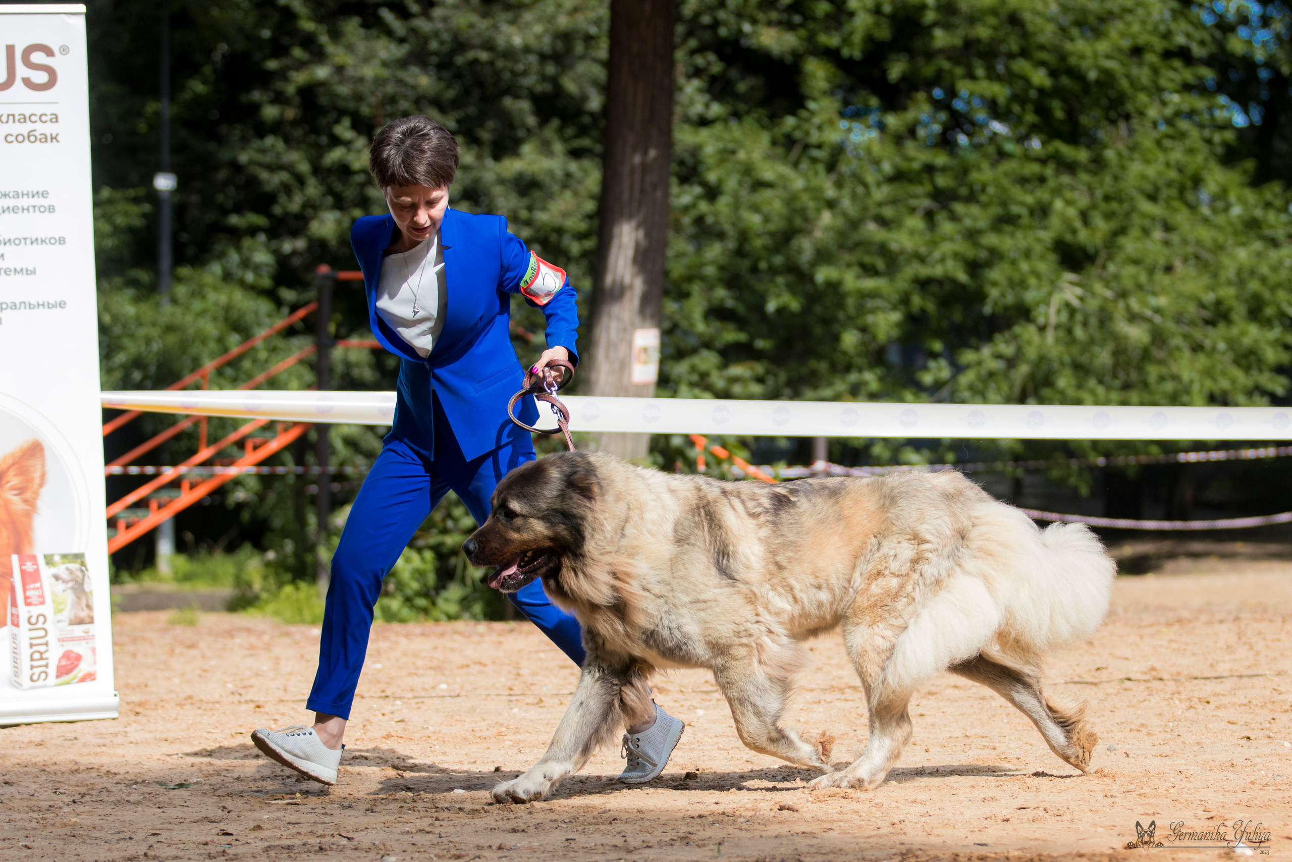 Сфера-Ховрино 29-30.07.2023. Фотограф-анималист Юлия Германика