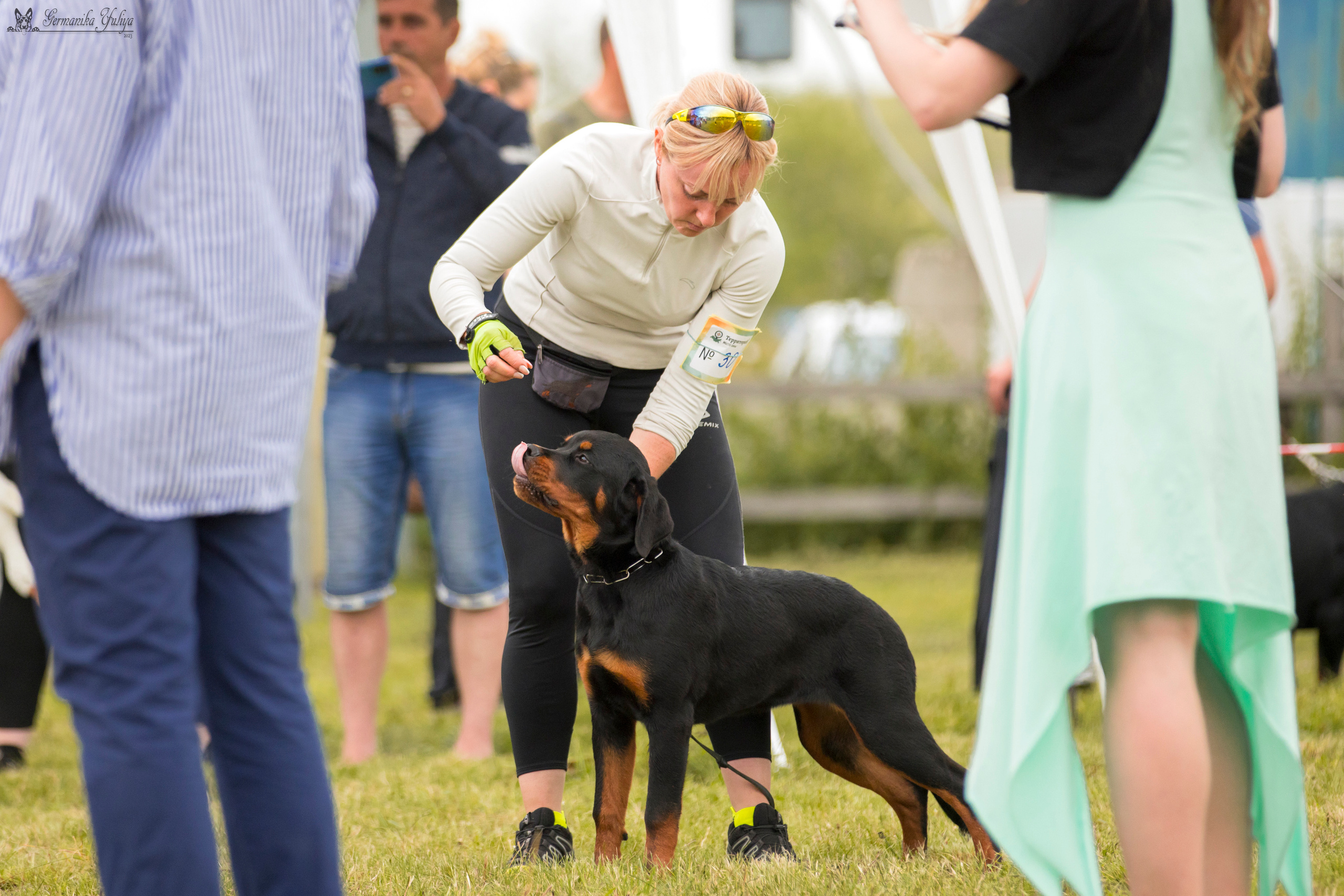 Рязань моно ротвейлеров 12.08.2023. Фотограф-анималист Юлия Германика