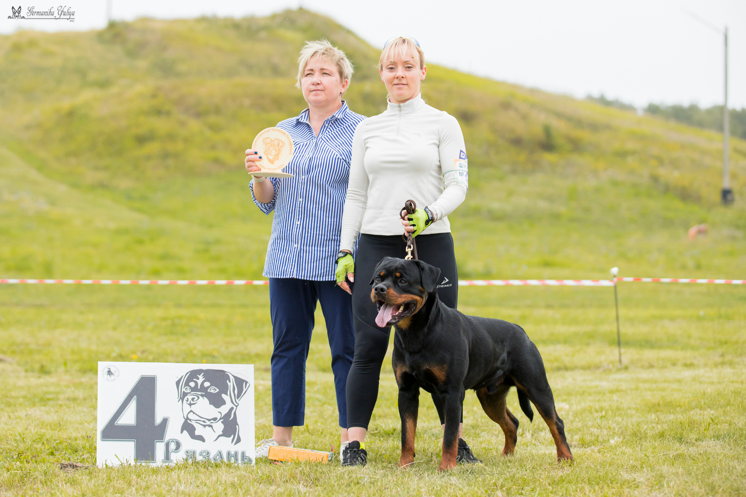 Рязань моно ротвейлеров 12.08.2023. Фотограф-анималист Юлия Германика