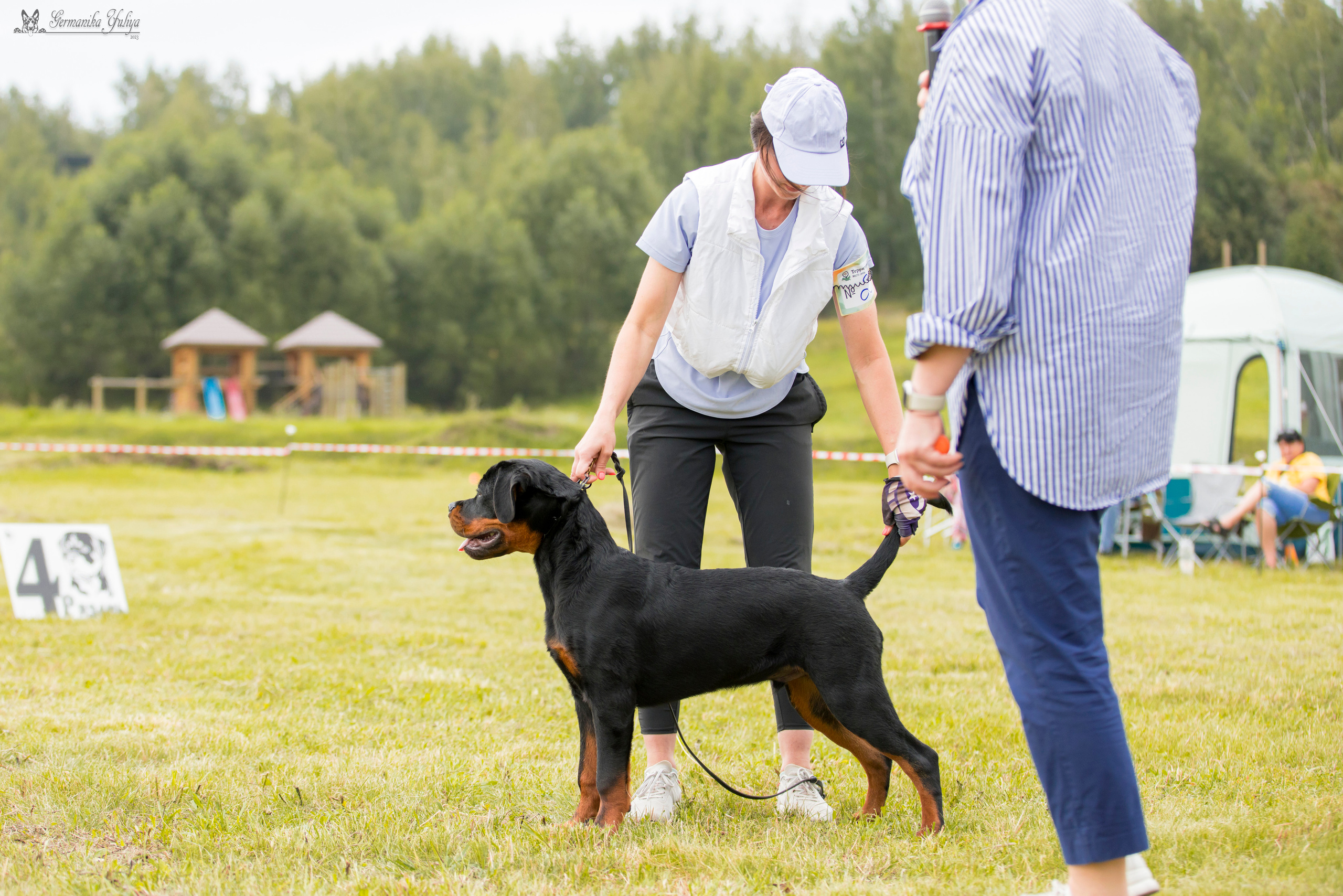 Рязань моно ротвейлеров 12.08.2023. Фотограф-анималист Юлия Германика