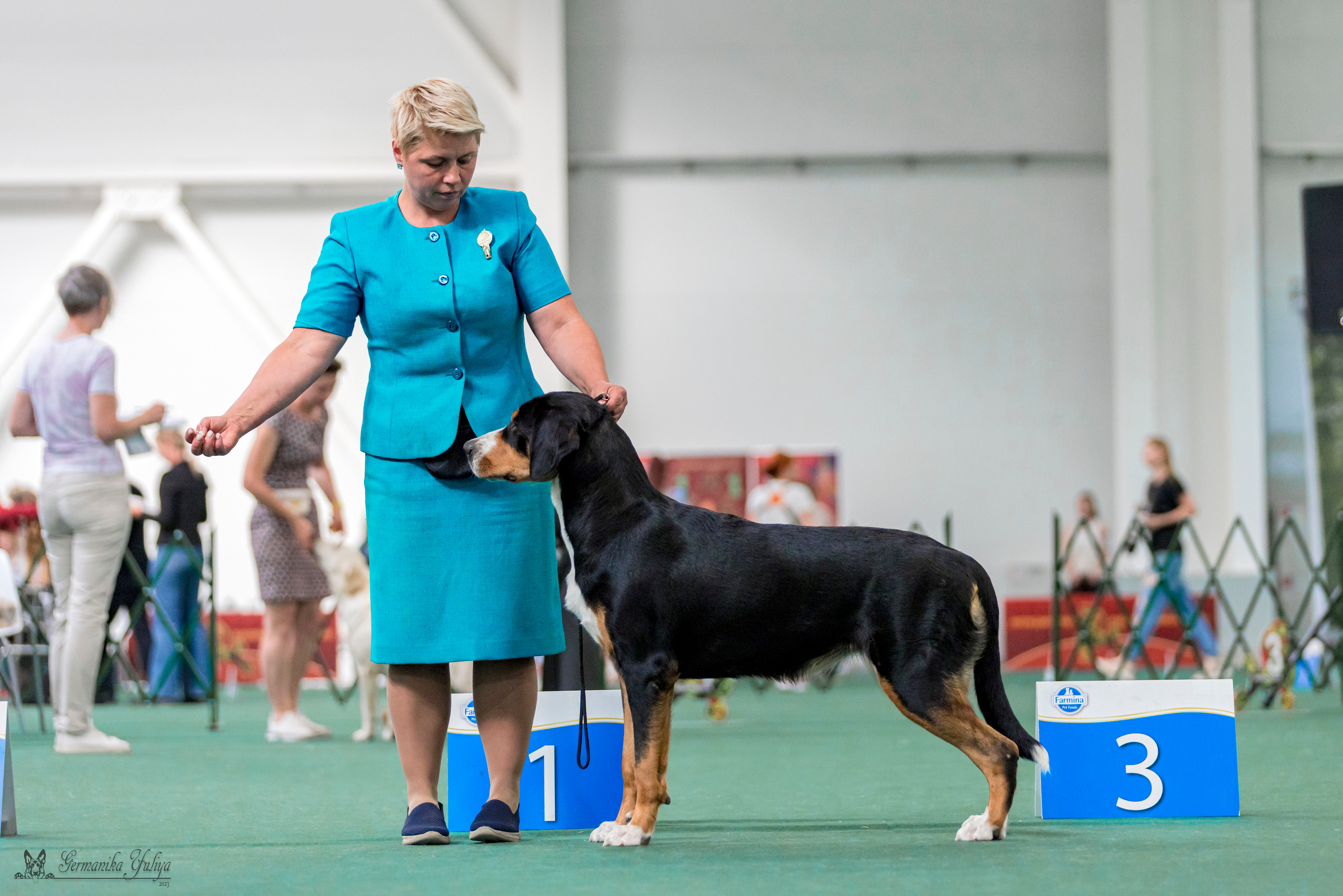 Крокус,Псков 5-6.08.2023. Фотограф-анималист Юлия Германика