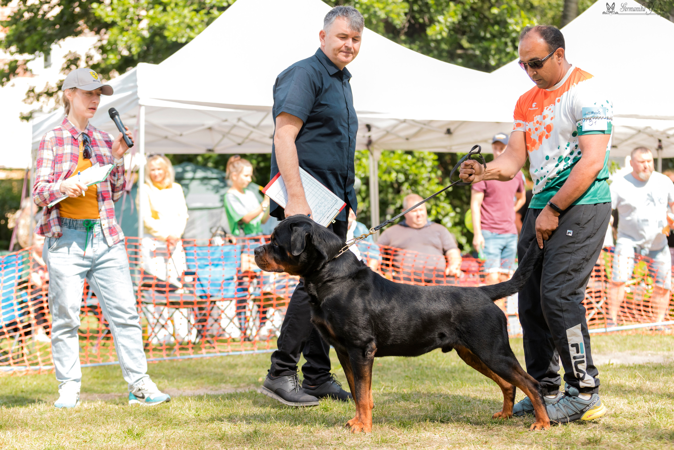 ПК и КЧК ротвейлеров Питер 22-23.07.2023. Фотограф-анималист Юлия Германика