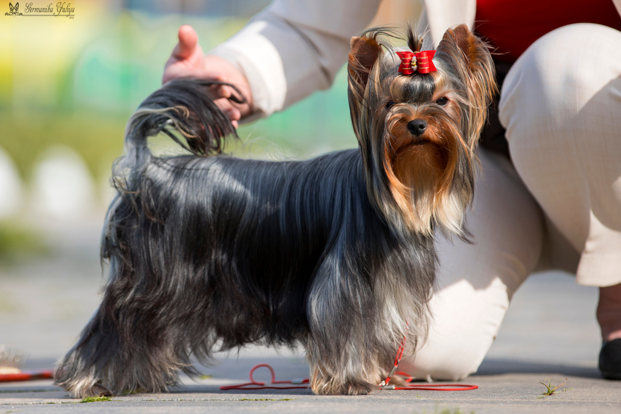 Питер 2-3.09.2023. Фотограф-анималист Юлия Германика