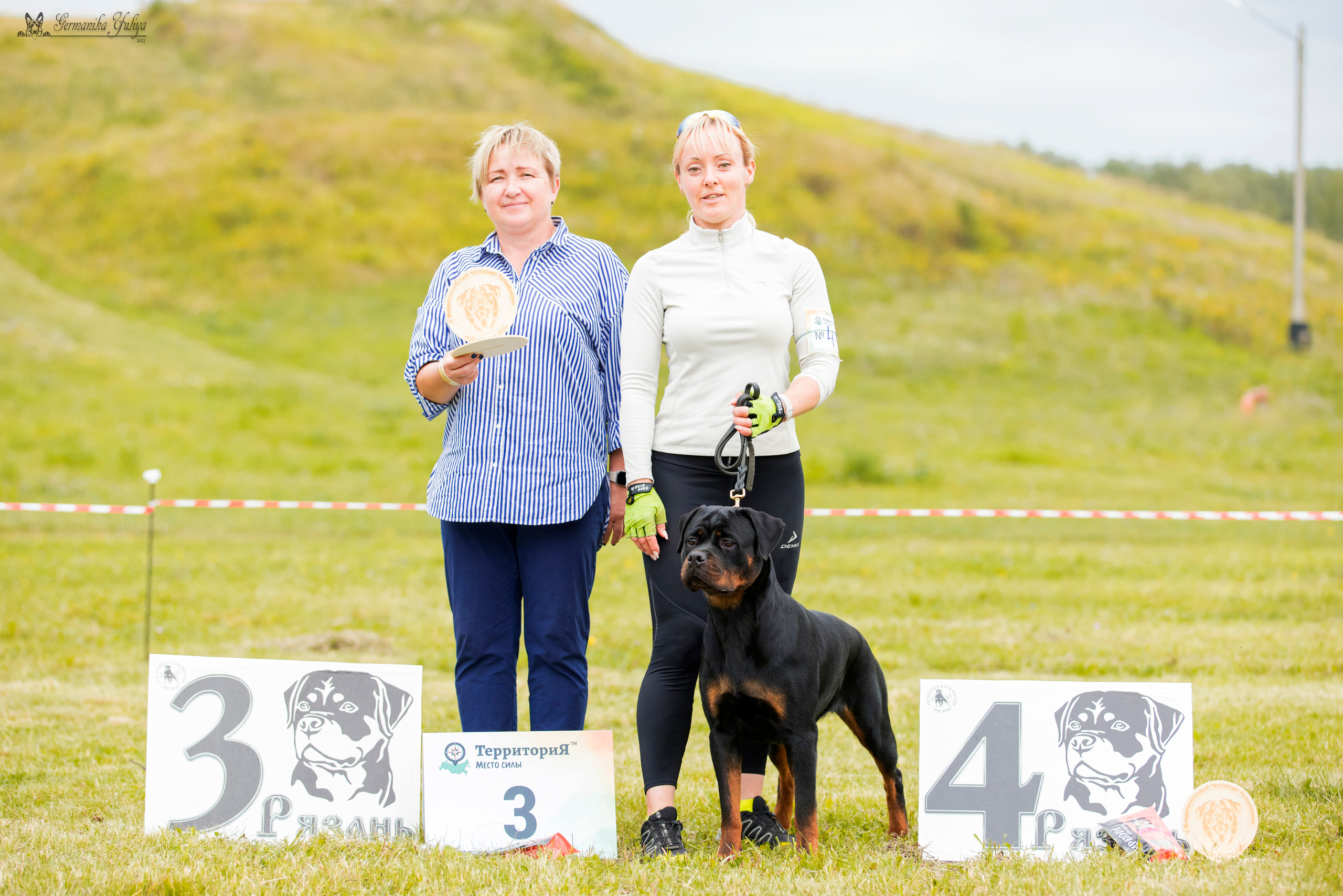 Рязань моно ротвейлеров 12.08.2023. Фотограф-анималист Юлия Германика
