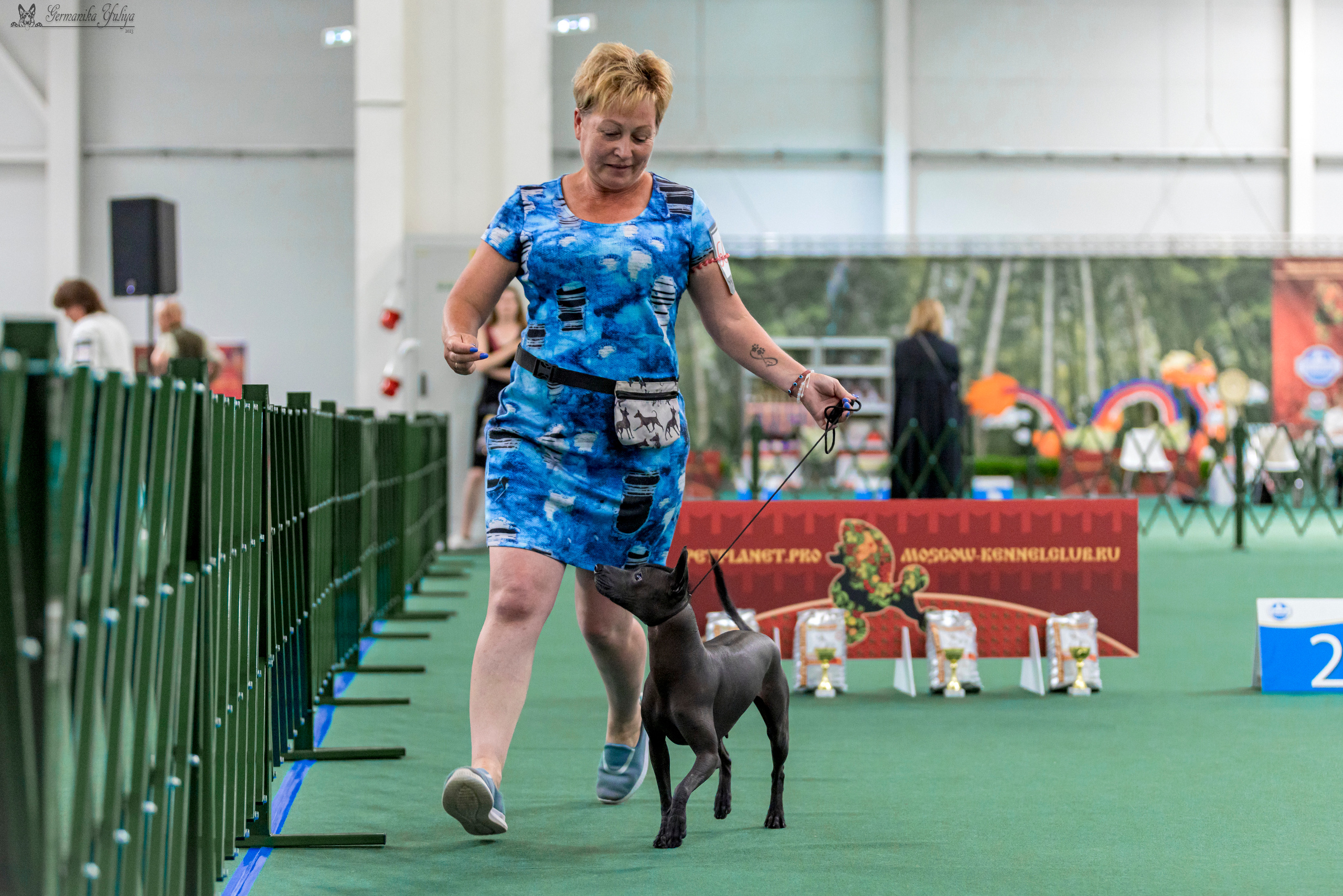 Крокус,Псков 5-6.08.2023. Фотограф-анималист Юлия Германика