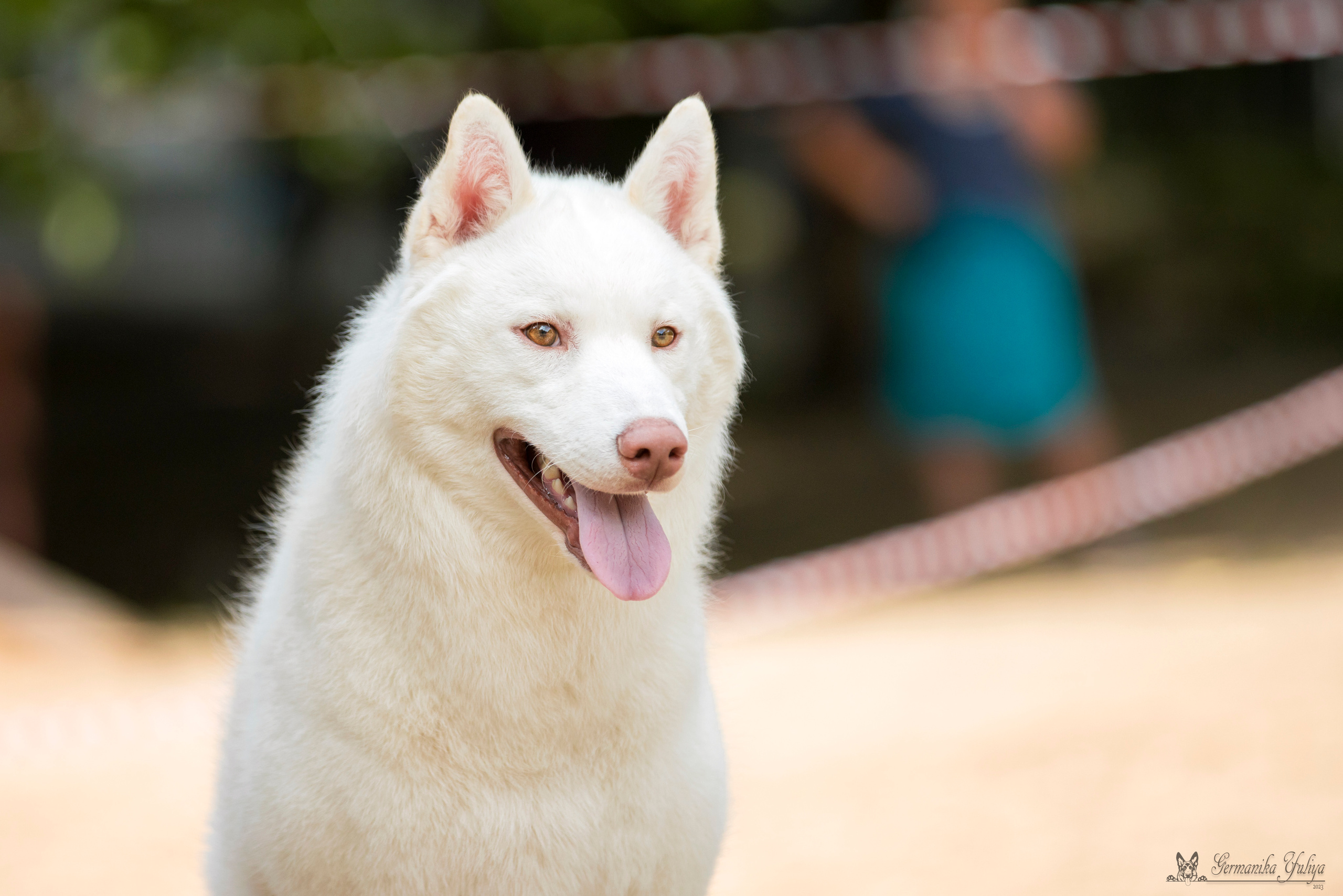 Сфера-Ховрино 29-30.07.2023. Фотограф-анималист Юлия Германика