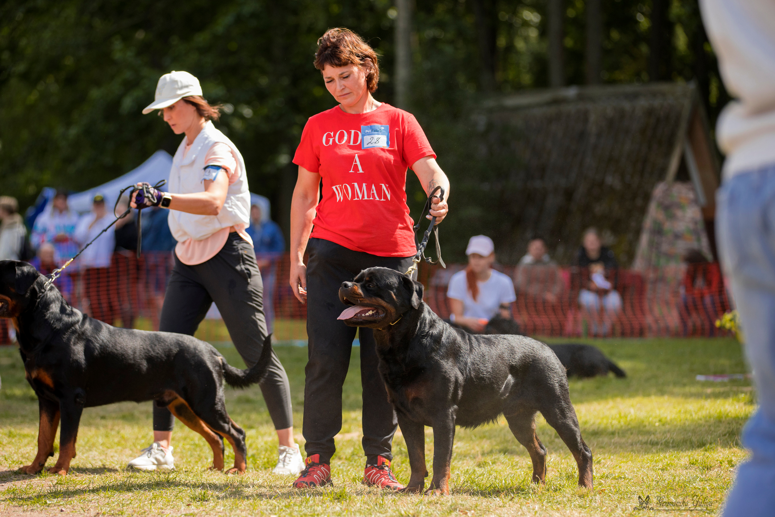 ПК и КЧК ротвейлеров Питер 22-23.07.2023. Фотограф-анималист Юлия Германика