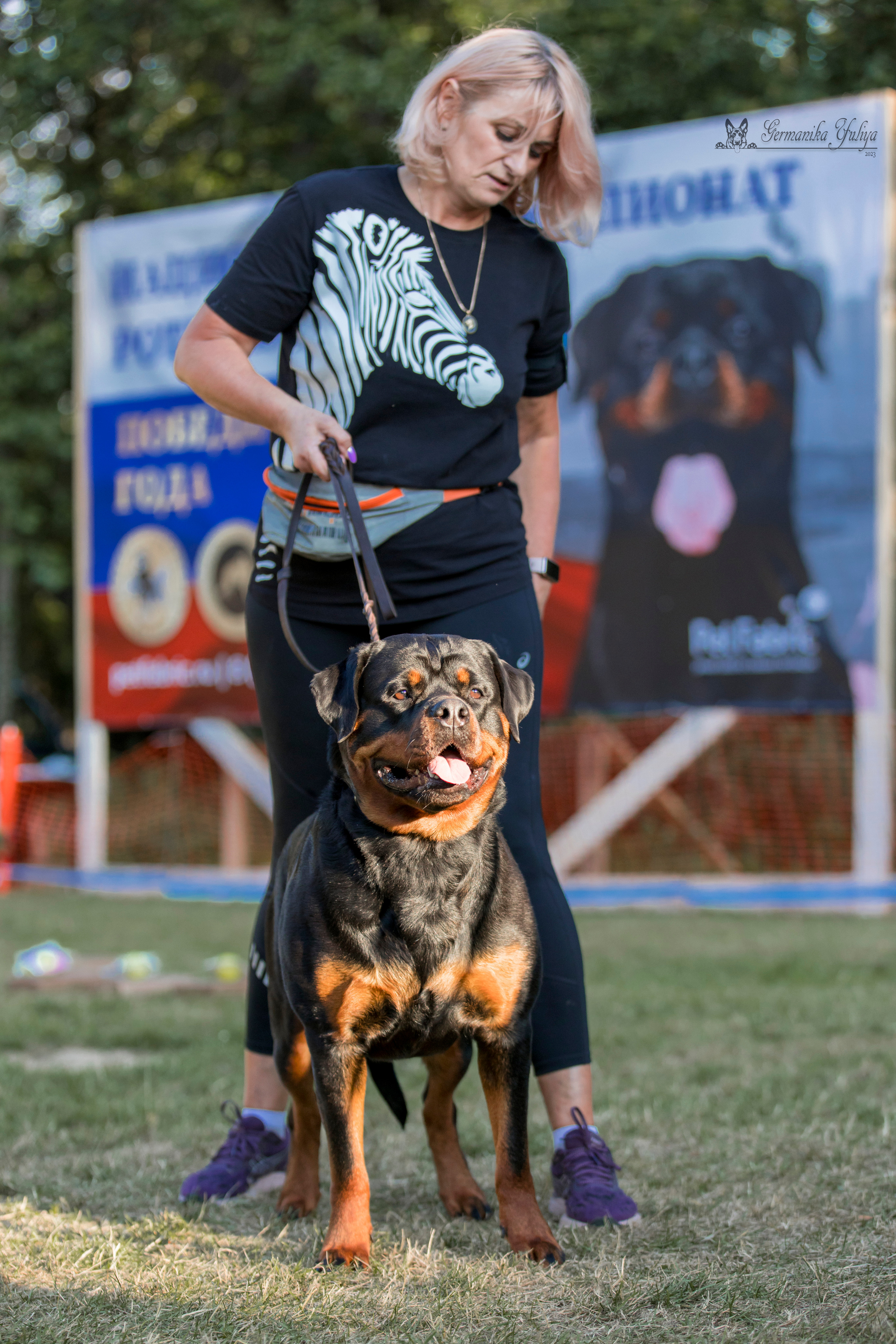 ПК и КЧК ротвейлеров Питер 22-23.07.2023. Фотограф-анималист Юлия Германика