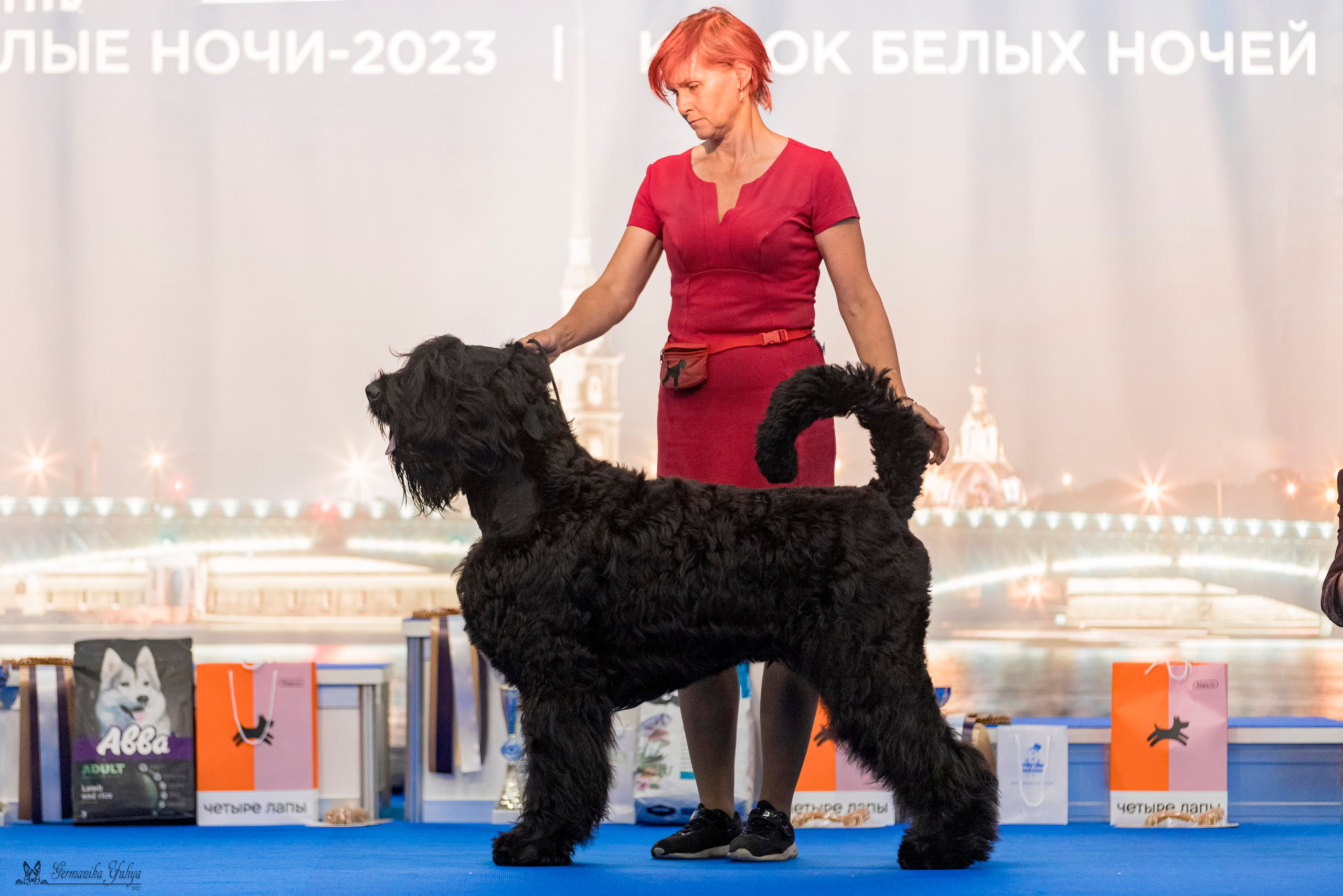 Питер 2-3.09.2023. Фотограф-анималист Юлия Германика