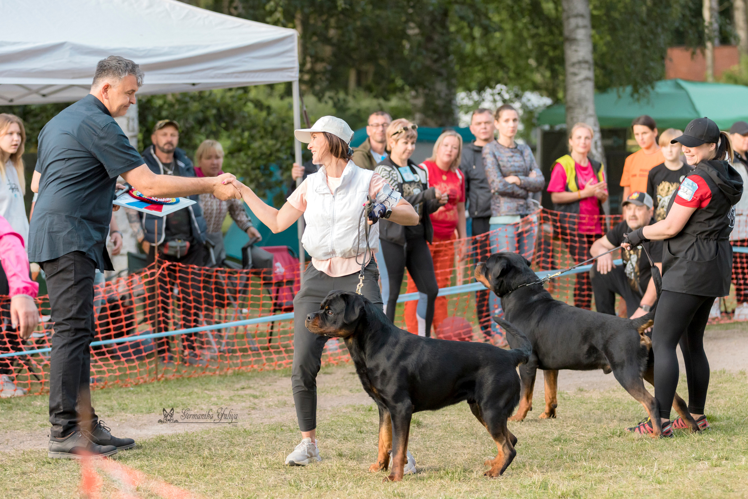 ПК и КЧК ротвейлеров Питер 22-23.07.2023. Фотограф-анималист Юлия Германика