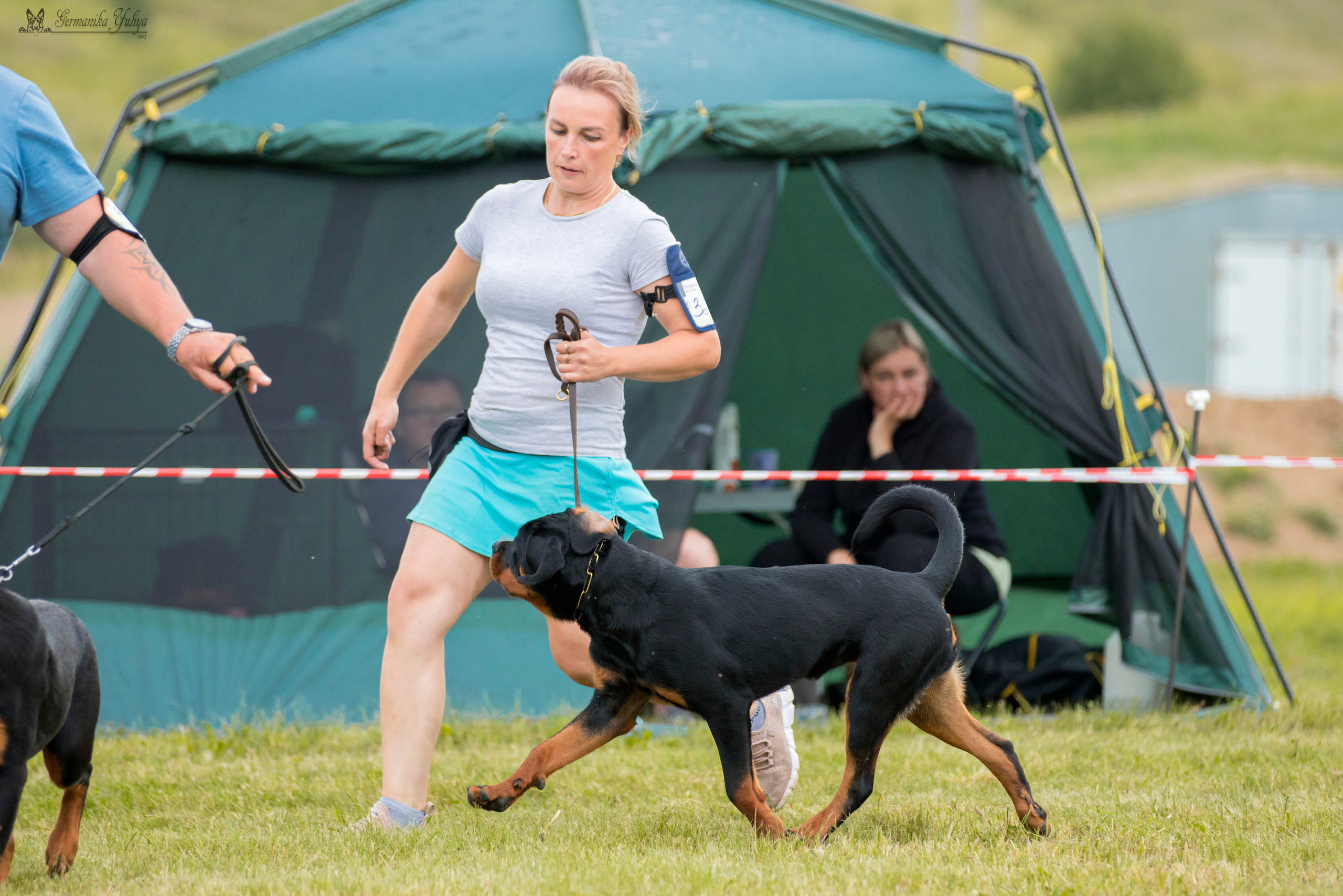 Рязань моно ротвейлеров 12.08.2023. Фотограф-анималист Юлия Германика