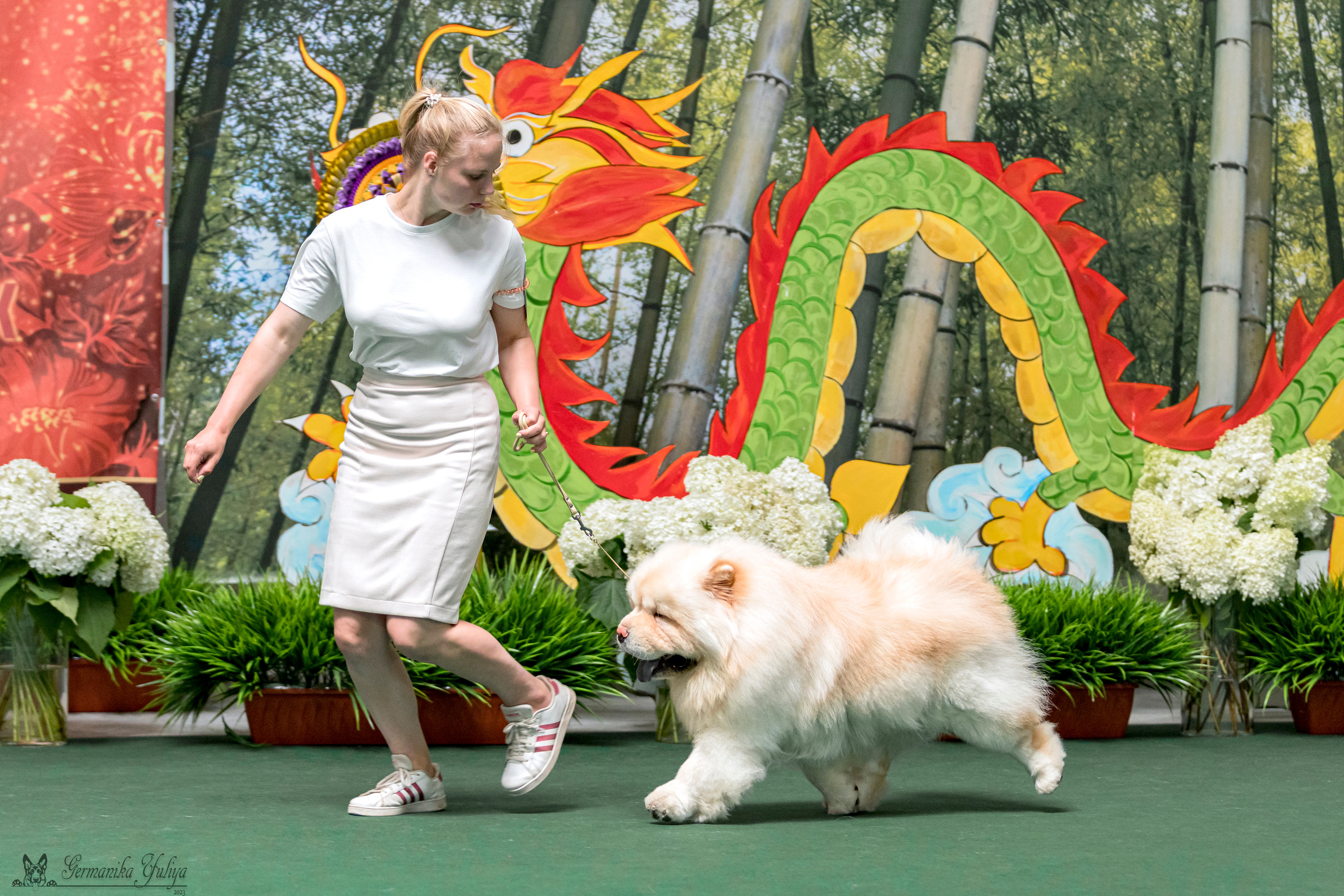 Крокус,Псков 5-6.08.2023. Фотограф-анималист Юлия Германика