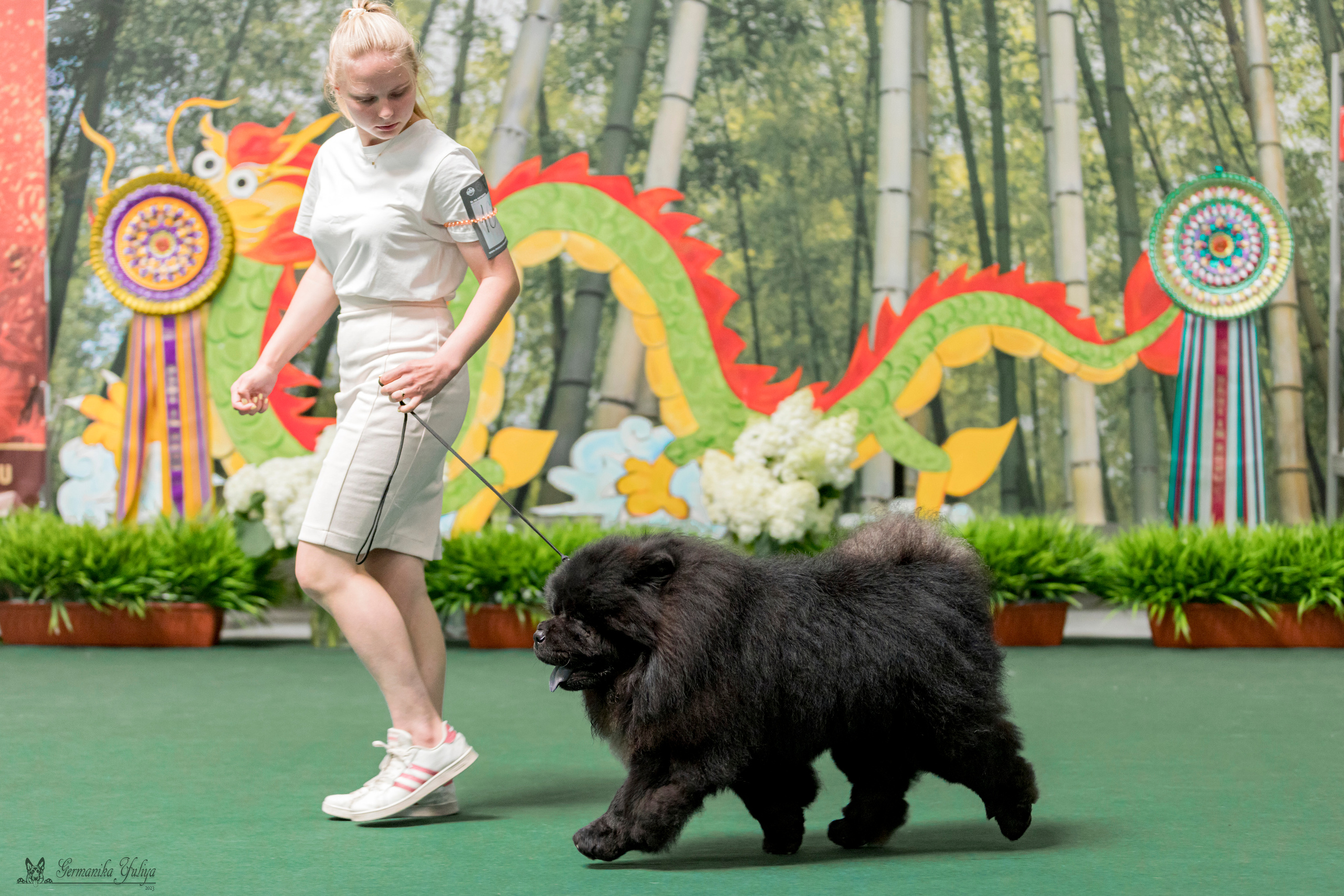 Крокус,Псков 5-6.08.2023. Фотограф-анималист Юлия Германика