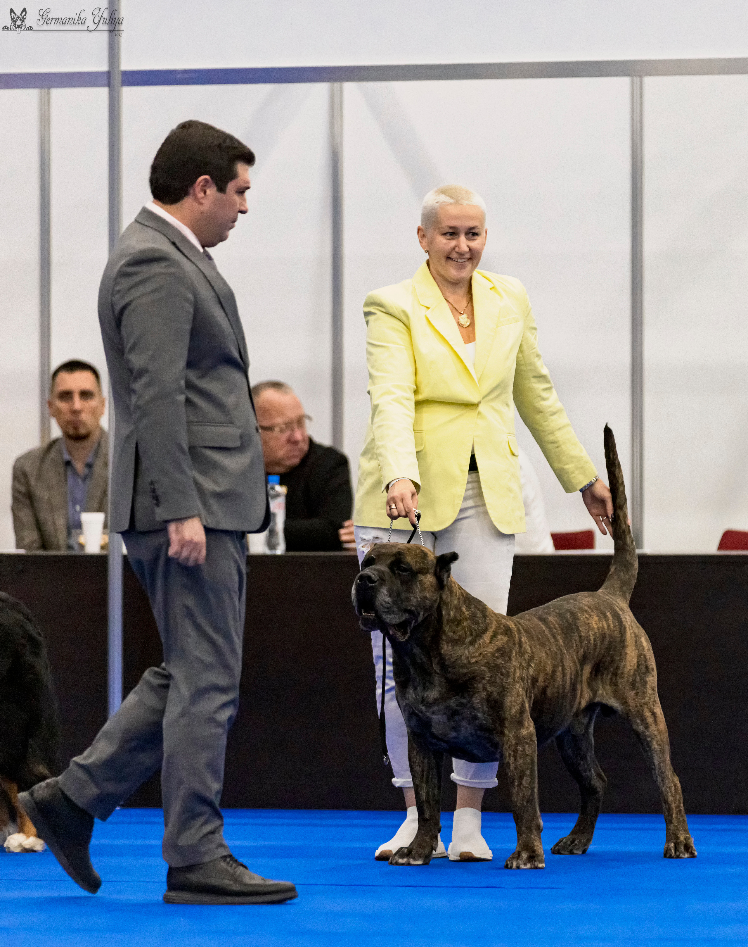 Питер 2-3.09.2023. Фотограф-анималист Юлия Германика