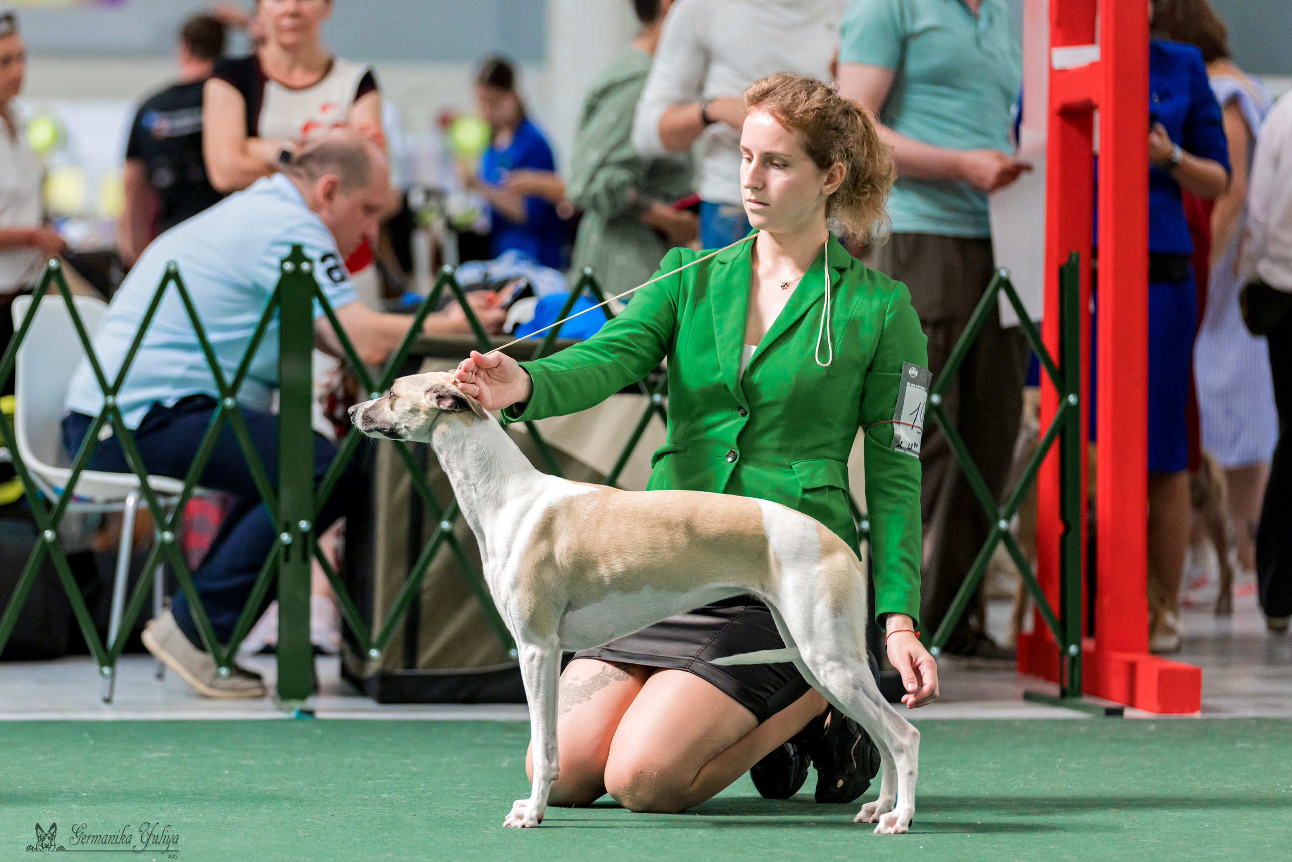 Крокус,Псков 5-6.08.2023. Фотограф-анималист Юлия Германика