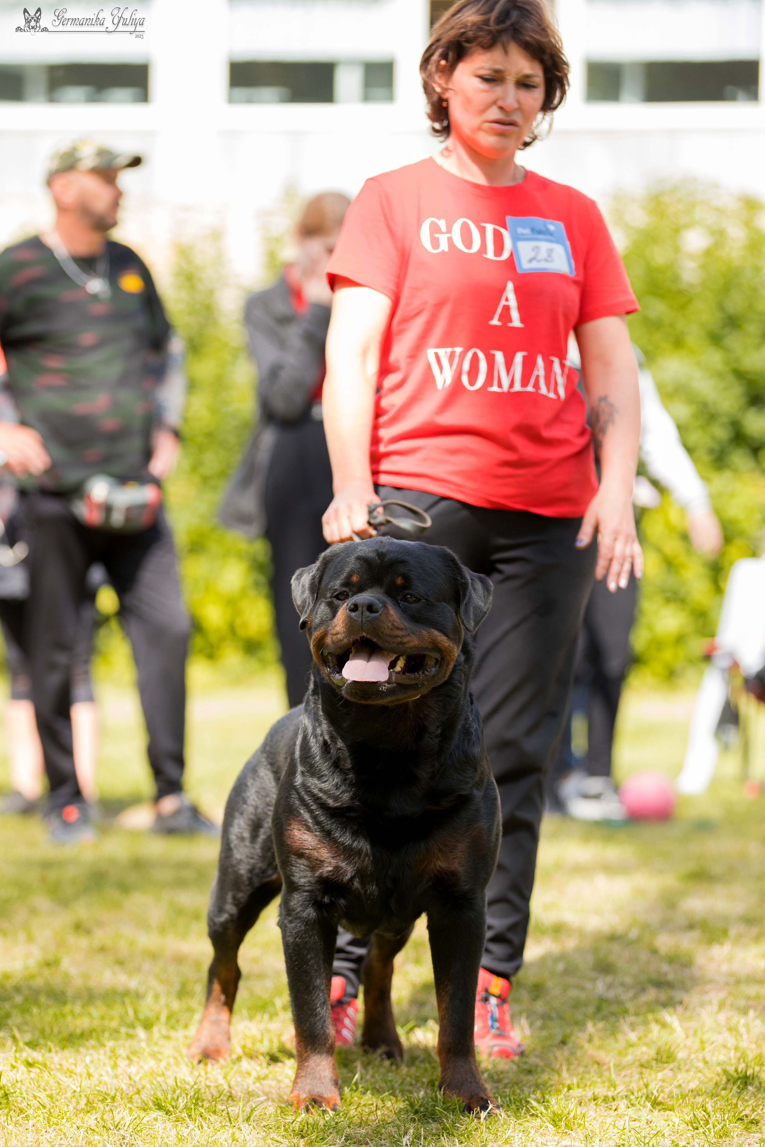 ПК и КЧК ротвейлеров Питер 22-23.07.2023. Фотограф-анималист Юлия Германика