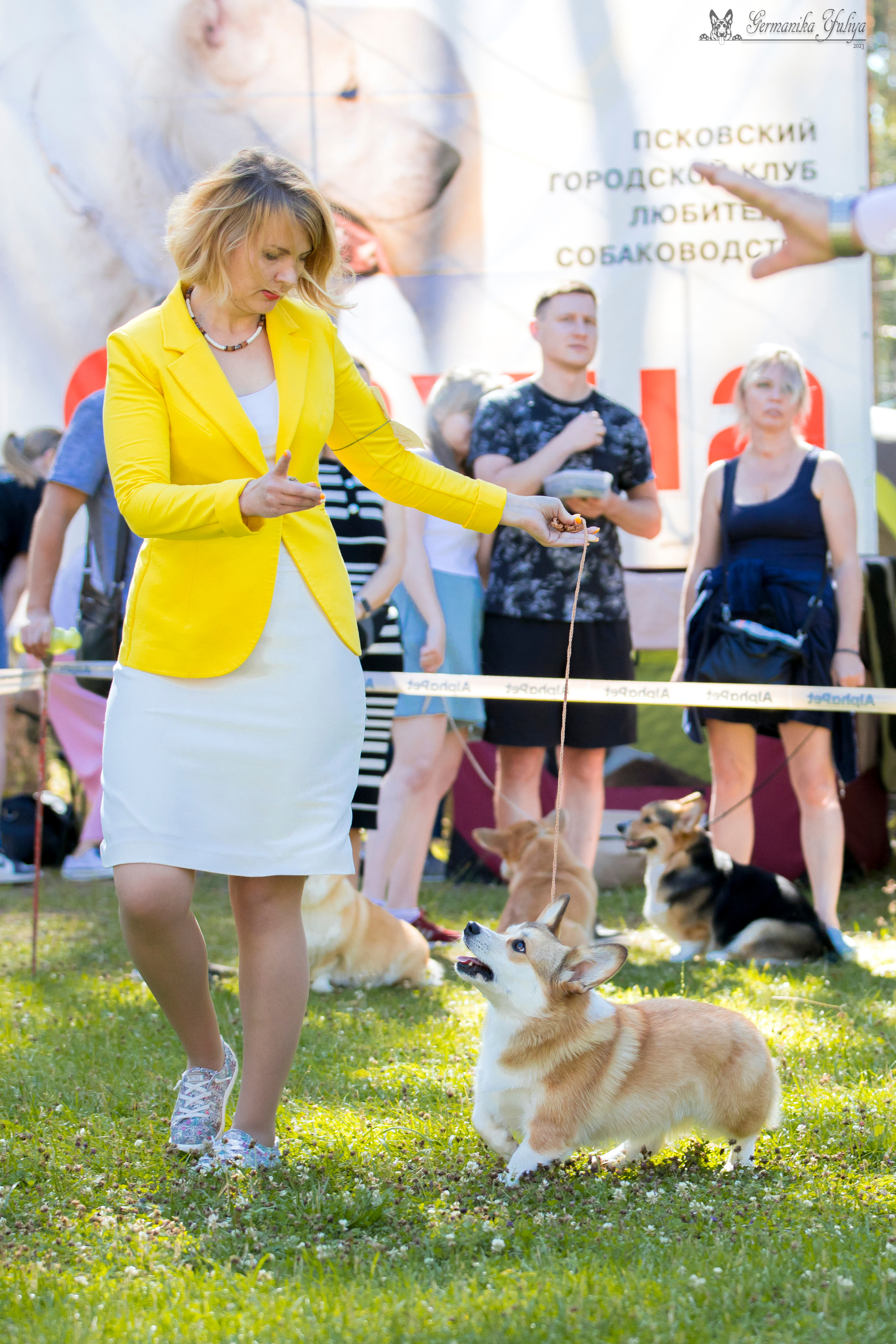Крокус,Псков 5-6.08.2023. Фотограф-анималист Юлия Германика