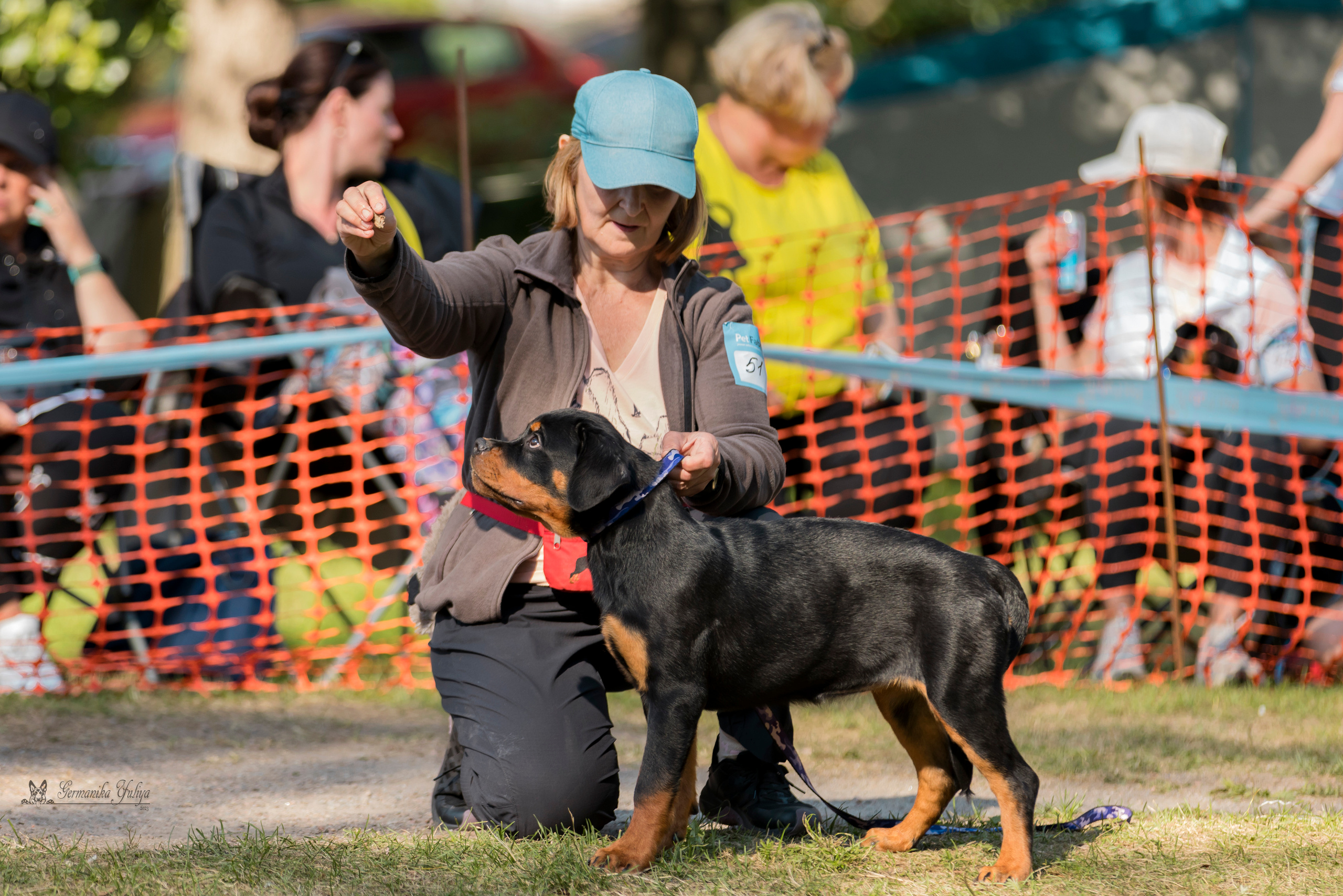 ПК и КЧК ротвейлеров Питер 22-23.07.2023. Фотограф-анималист Юлия Германика
