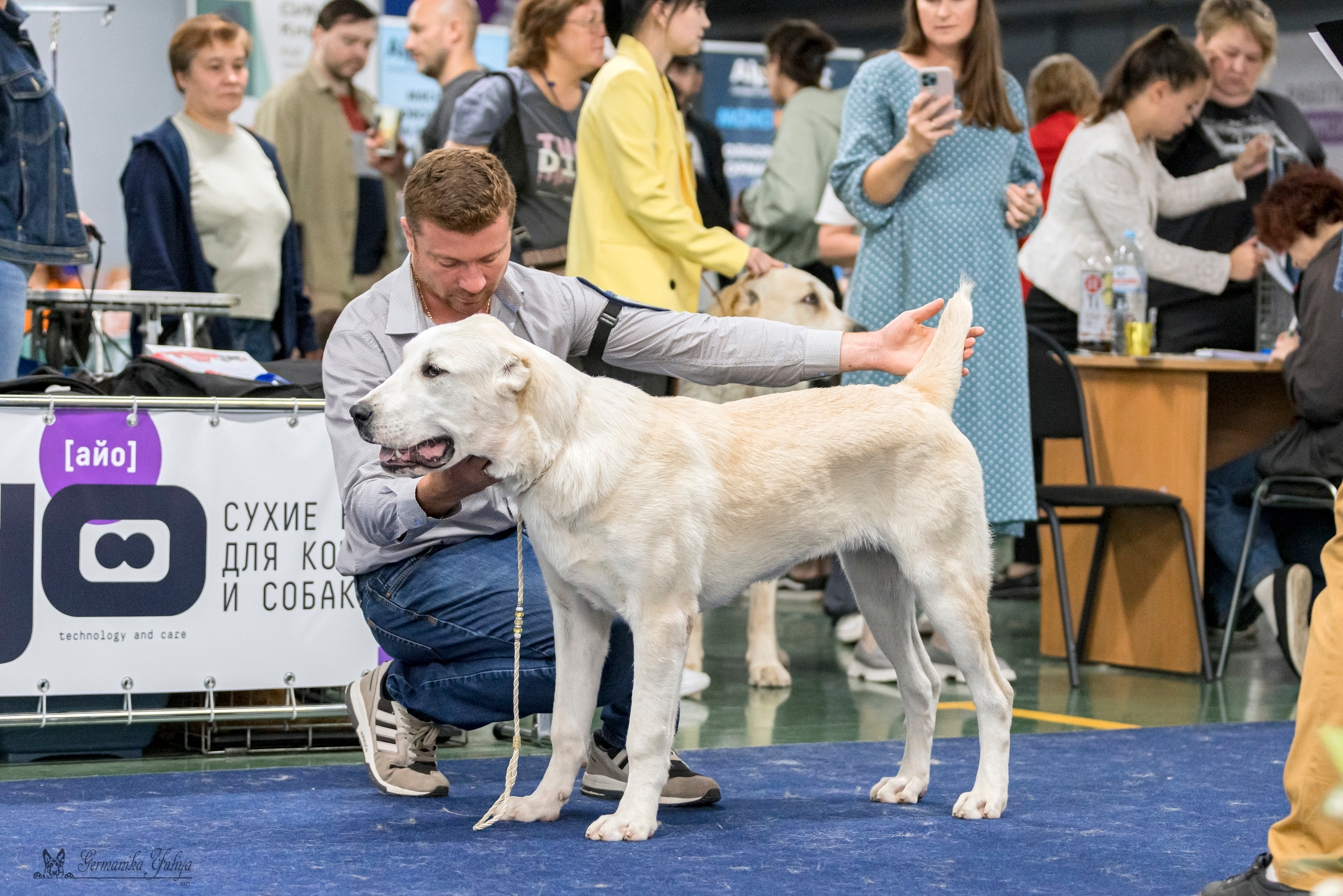 Сфера-Ховрино 29-30.07.2023. Фотограф-анималист Юлия Германика