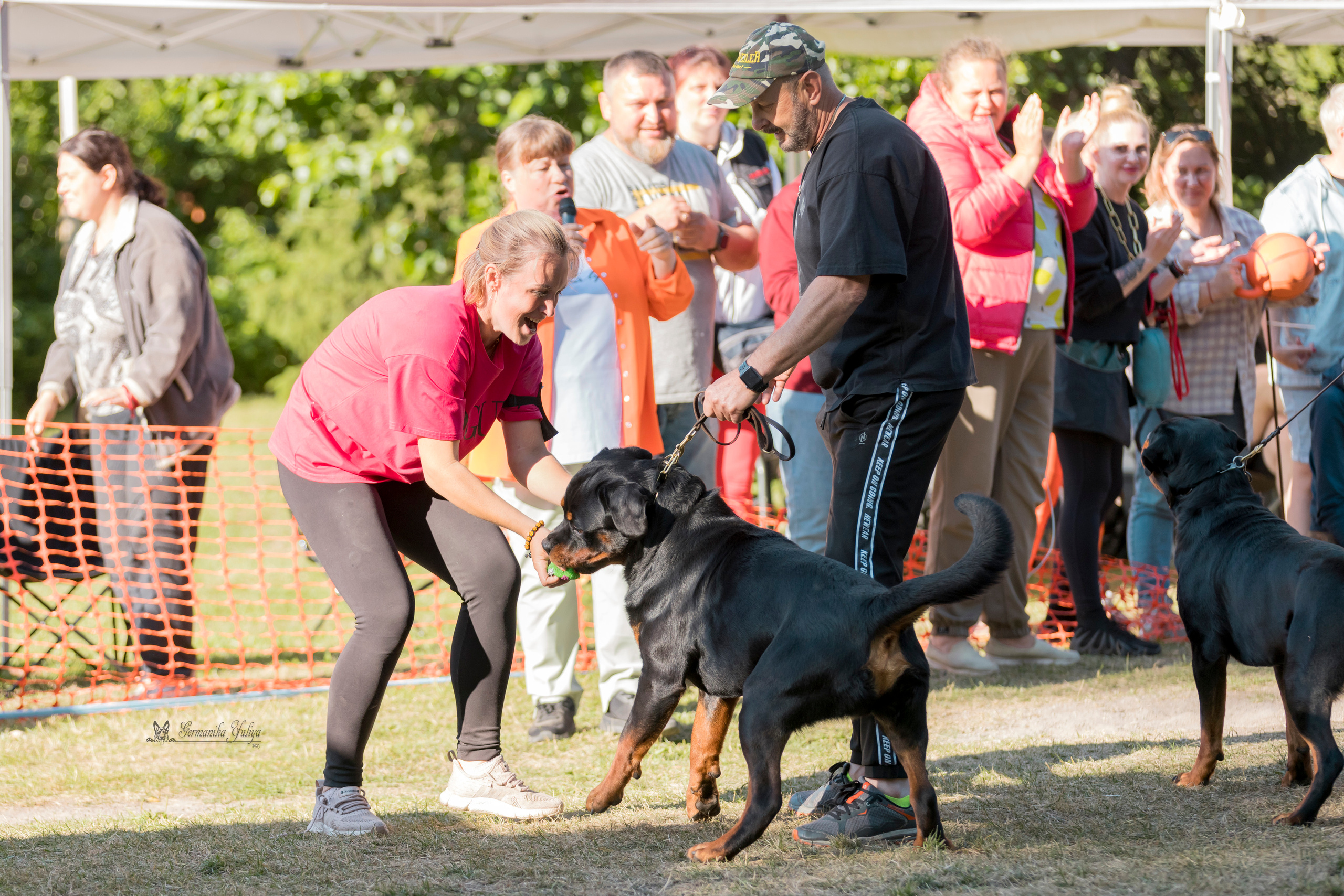 ПК и КЧК ротвейлеров Питер 22-23.07.2023. Фотограф-анималист Юлия Германика