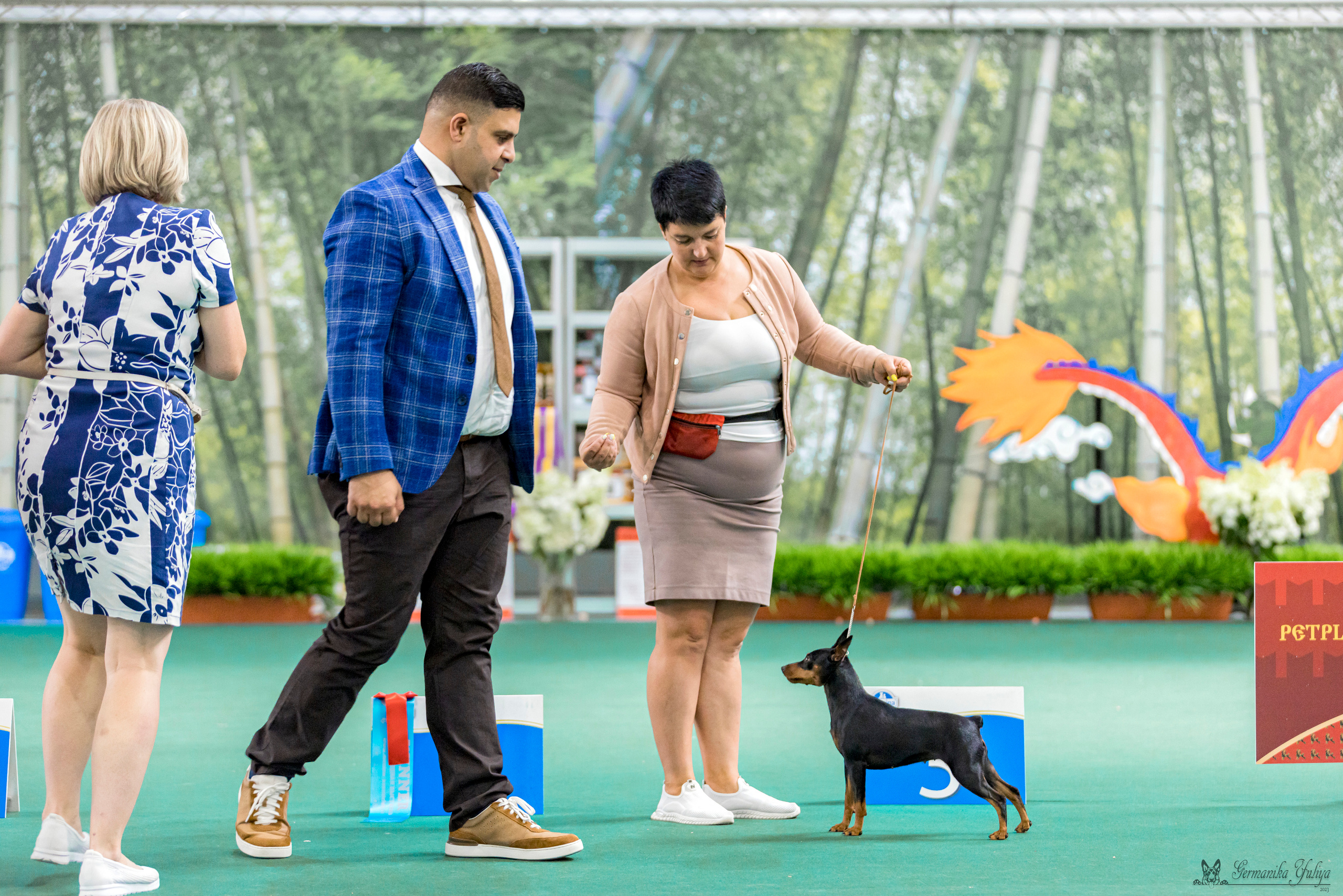 Крокус,Псков 5-6.08.2023. Фотограф-анималист Юлия Германика