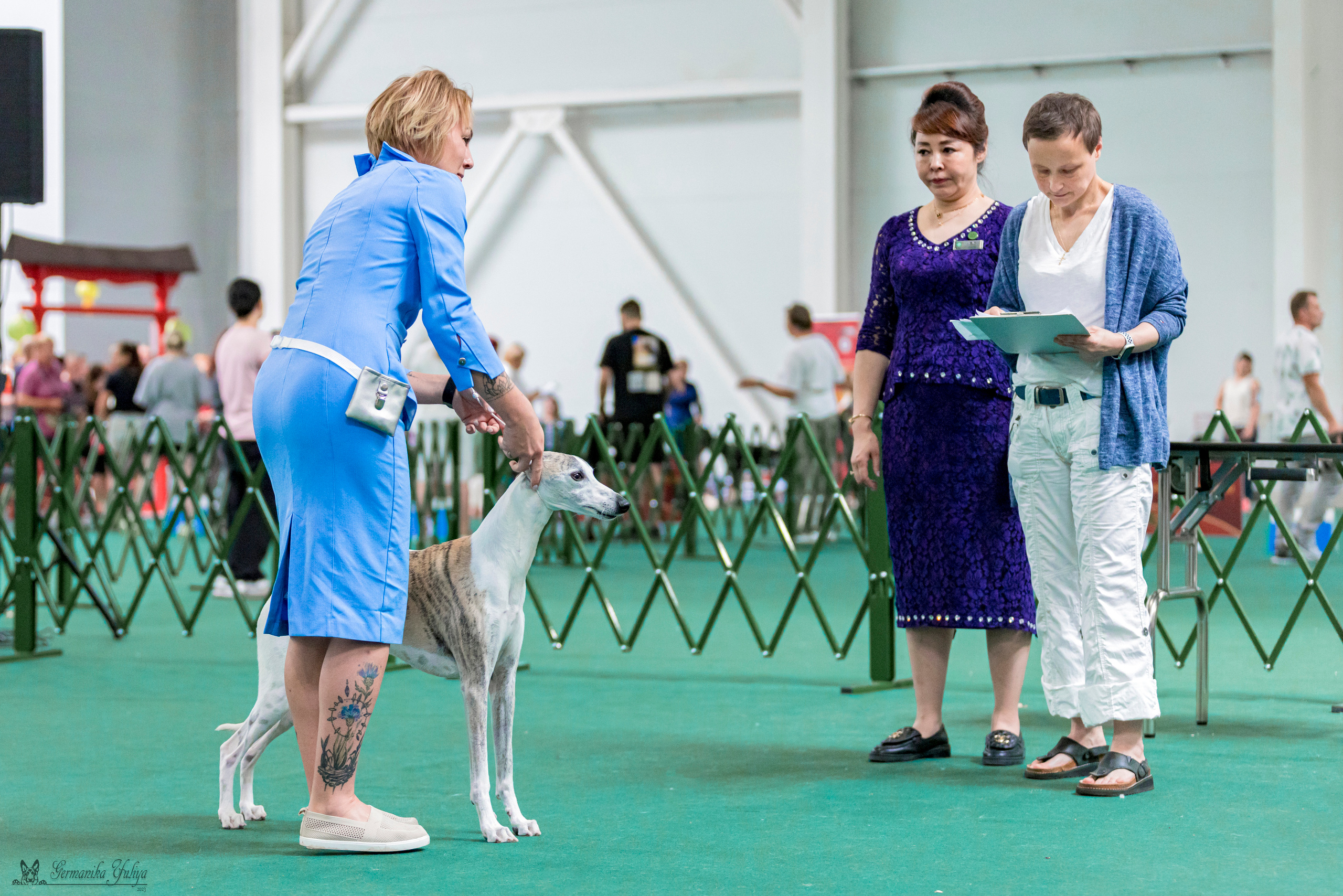 Крокус,Псков 5-6.08.2023. Фотограф-анималист Юлия Германика