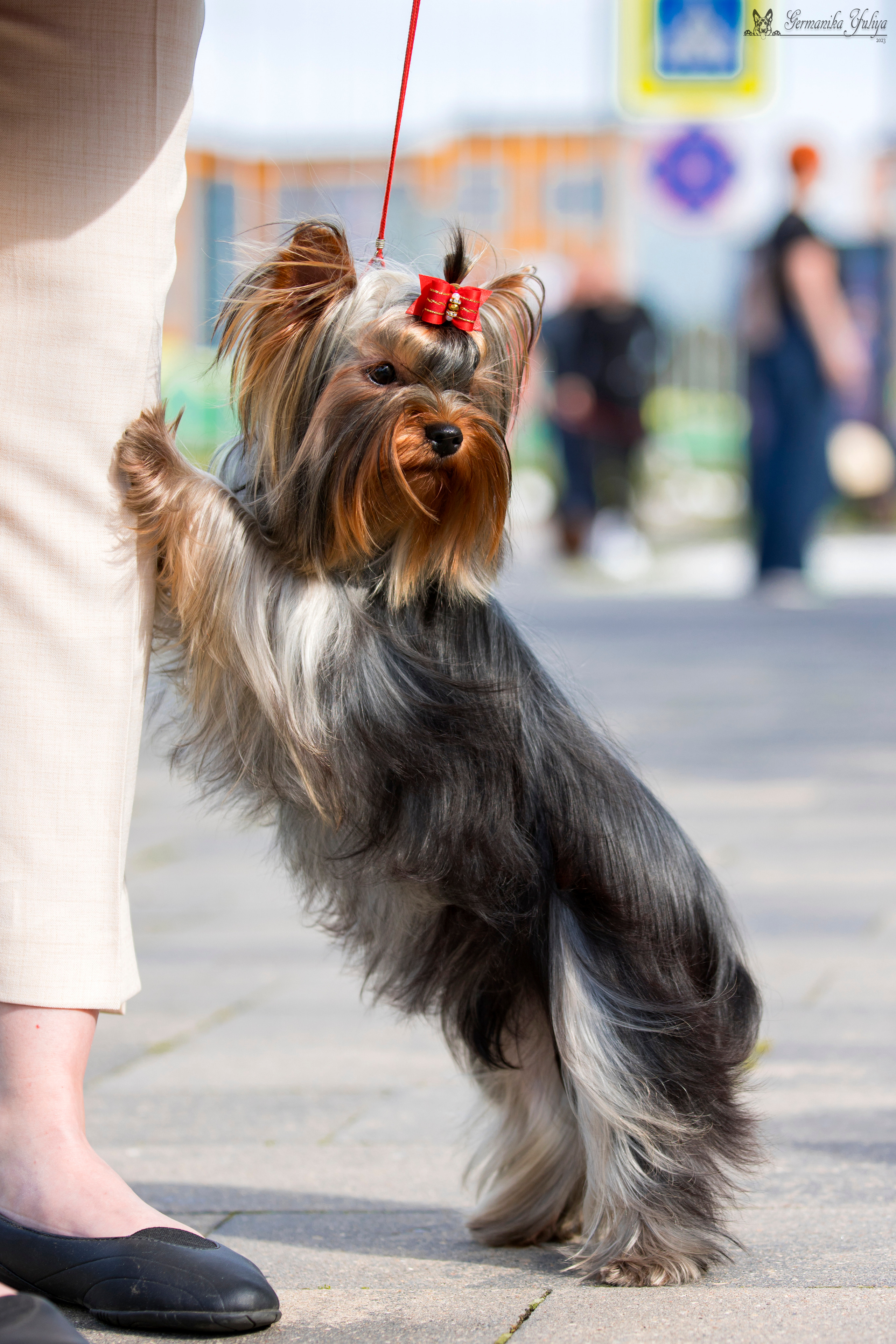 Питер 2-3.09.2023. Фотограф-анималист Юлия Германика