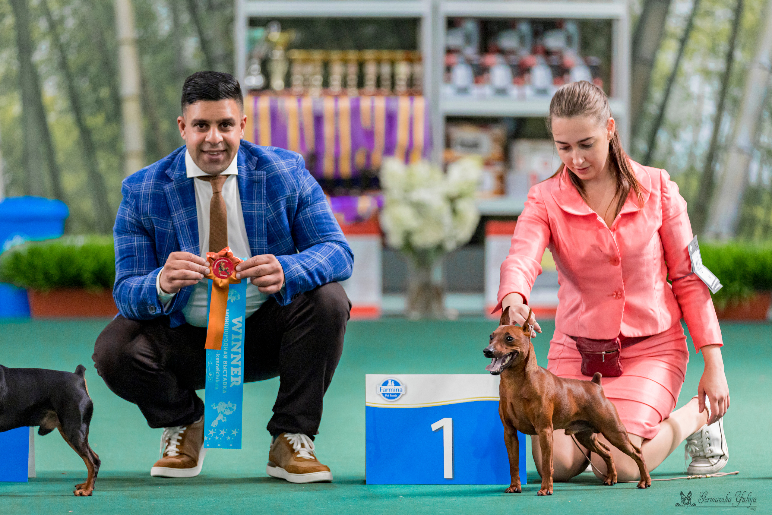 Крокус,Псков 5-6.08.2023. Фотограф-анималист Юлия Германика