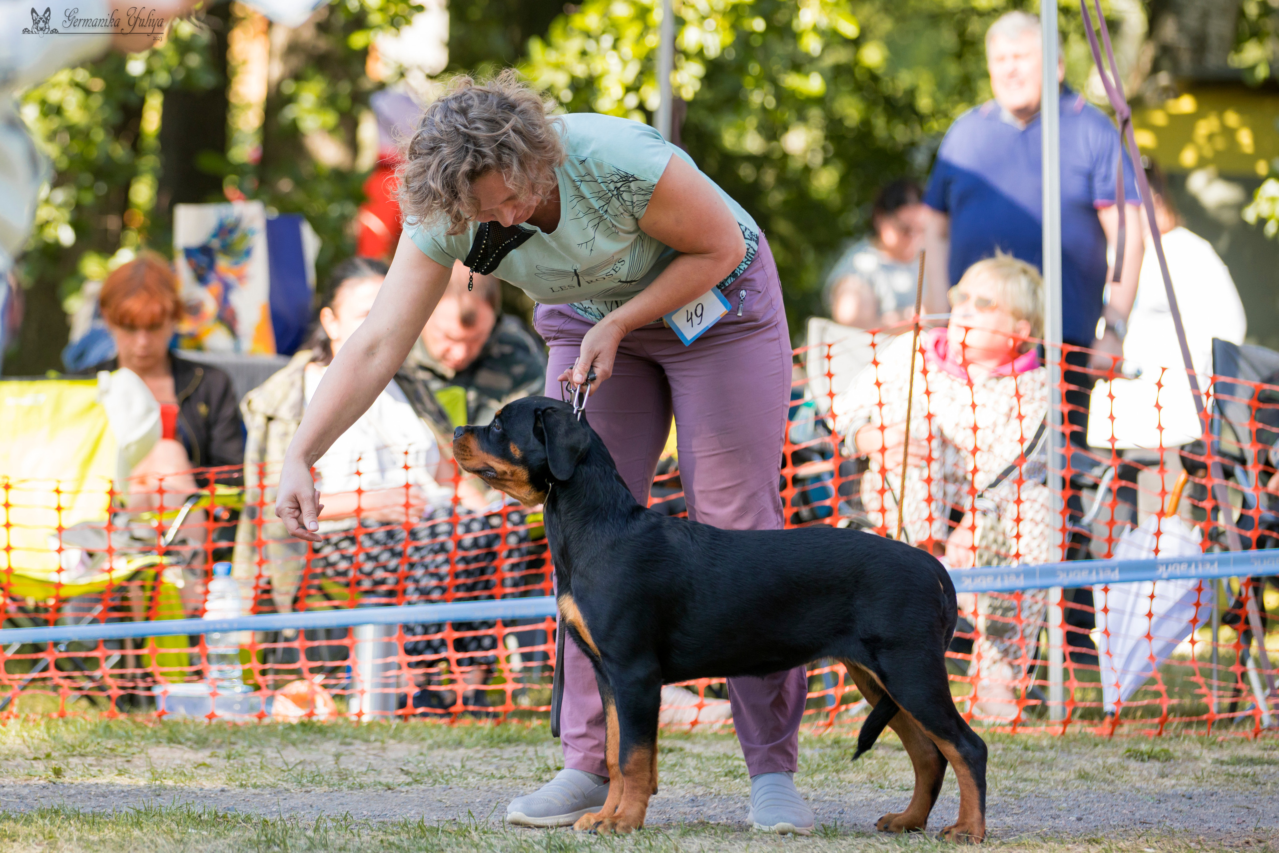 ПК и КЧК ротвейлеров Питер 22-23.07.2023. Фотограф-анималист Юлия Германика