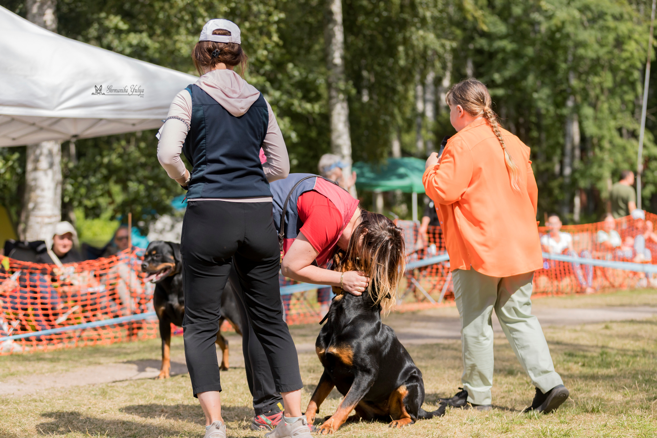 ПК и КЧК ротвейлеров Питер 22-23.07.2023. Фотограф-анималист Юлия Германика