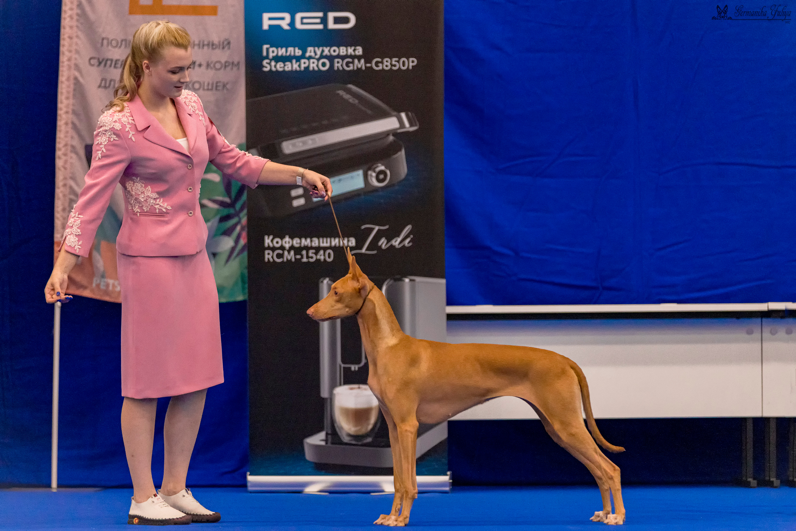 Питер 2-3.09.2023. Фотограф-анималист Юлия Германика