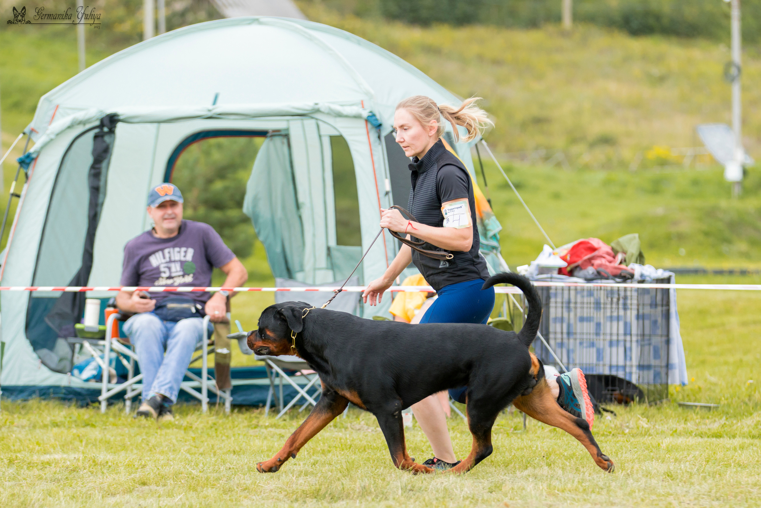 Рязань моно ротвейлеров 12.08.2023. Фотограф-анималист Юлия Германика