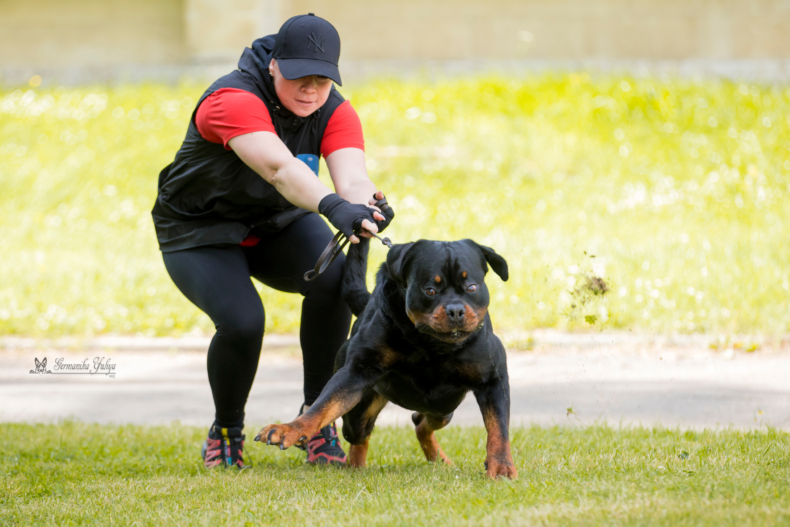 ПК и КЧК ротвейлеров Питер 22-23.07.2023. Фотограф-анималист Юлия Германика