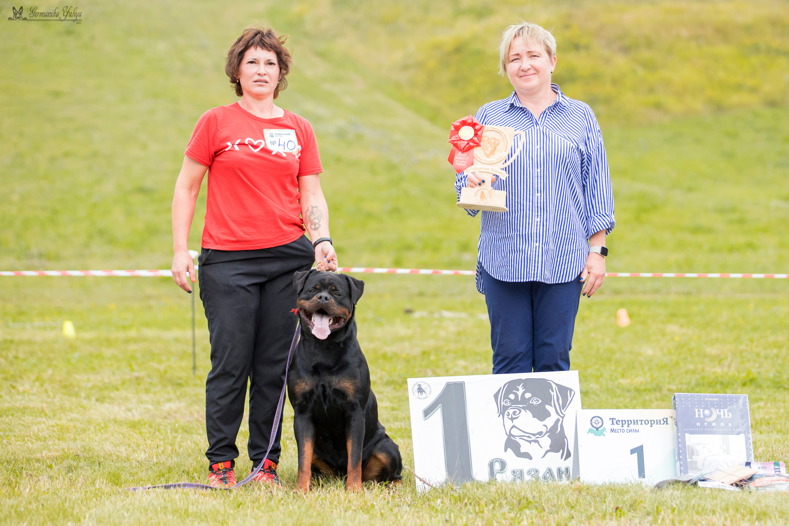 Рязань моно ротвейлеров 12.08.2023. Фотограф-анималист Юлия Германика