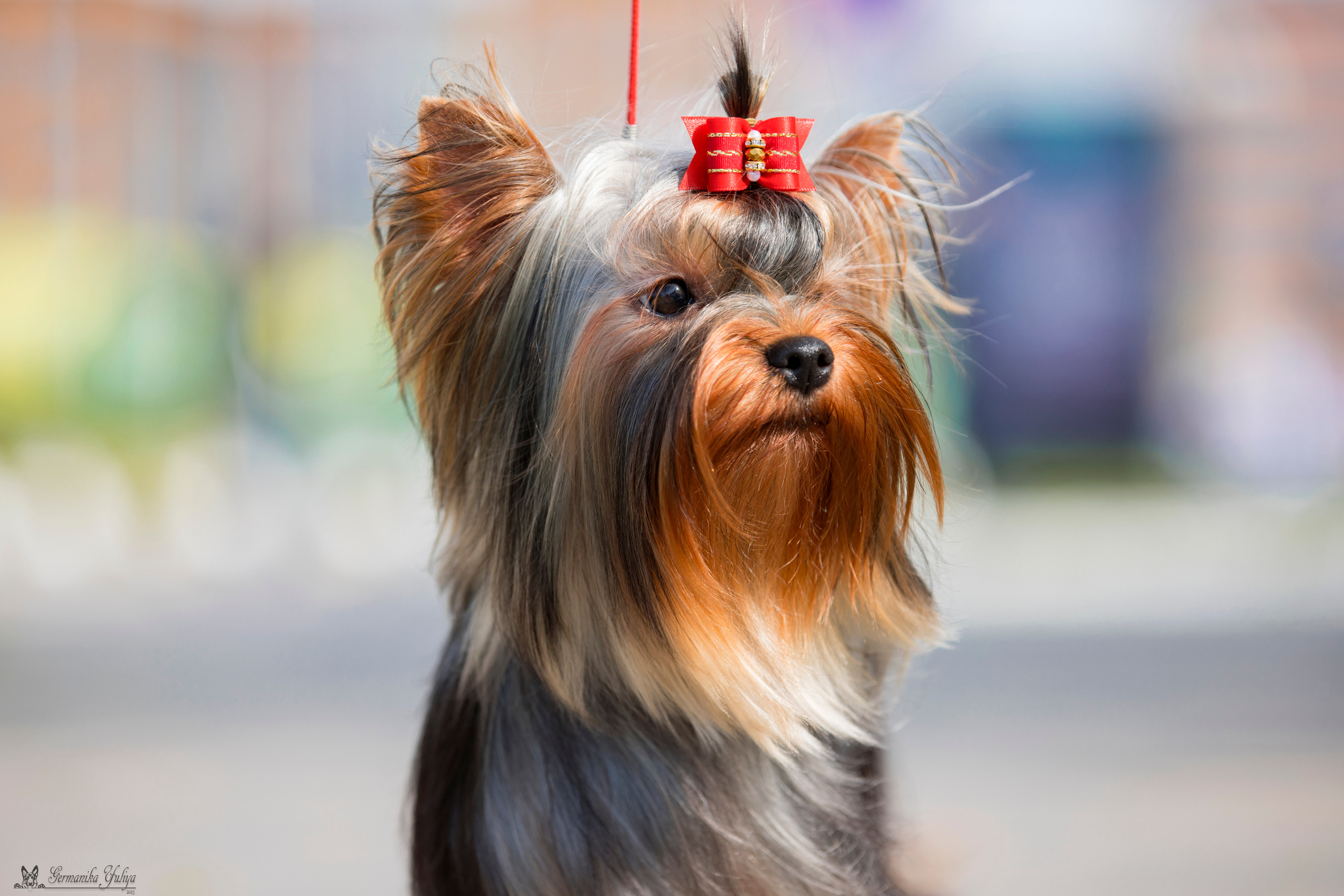 Питер 2-3.09.2023. Фотограф-анималист Юлия Германика