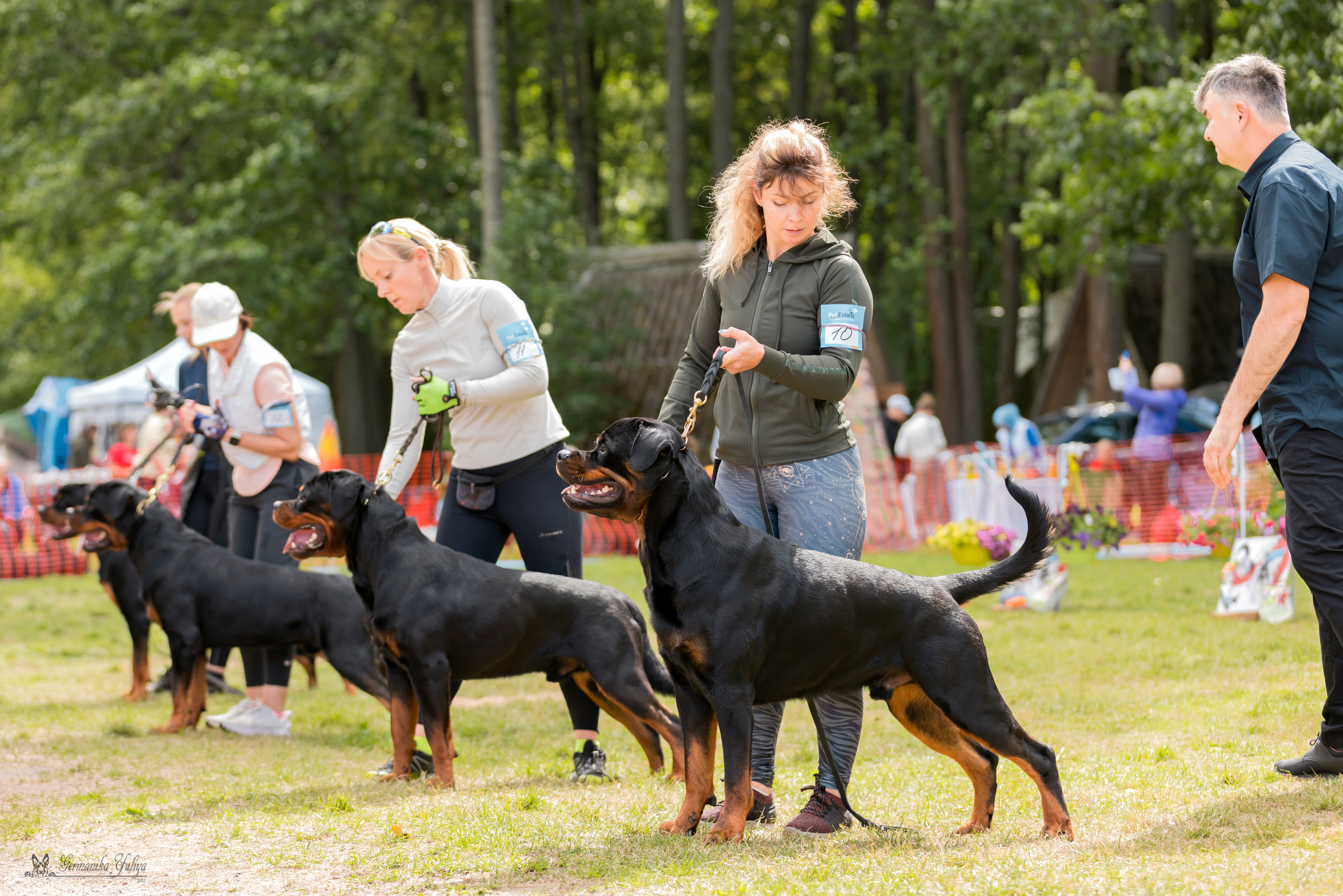 ПК и КЧК ротвейлеров Питер 22-23.07.2023. Фотограф-анималист Юлия Германика