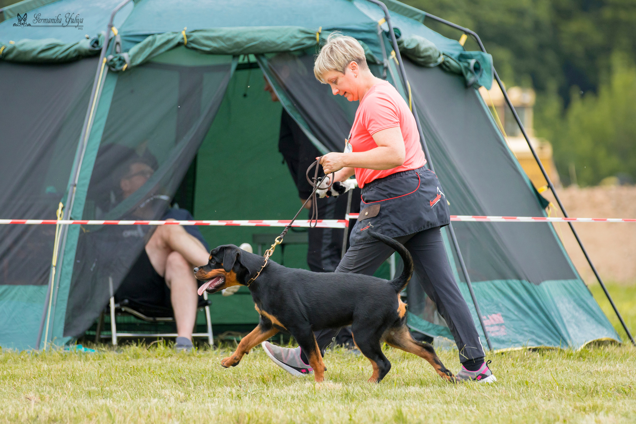 Рязань моно ротвейлеров 12.08.2023. Фотограф-анималист Юлия Германика