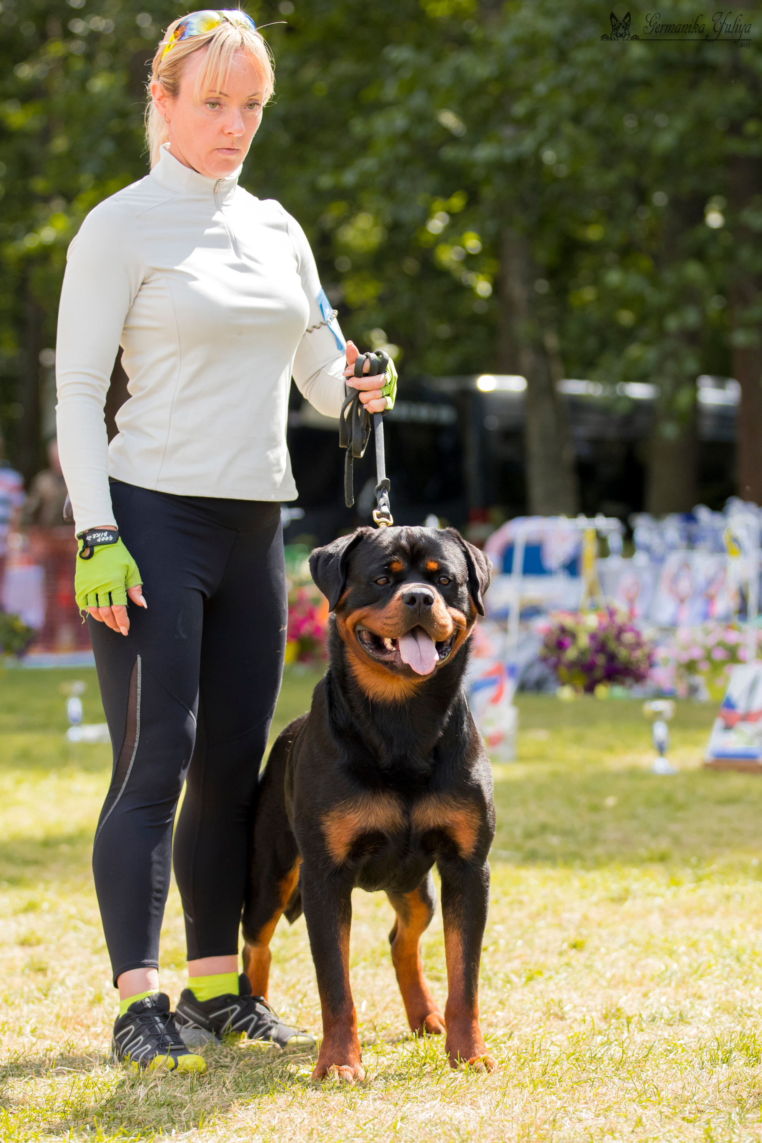 ПК и КЧК ротвейлеров Питер 22-23.07.2023. Фотограф-анималист Юлия Германика